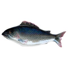 Large French Majolica Fish Platter Fives Lille Circa 1900