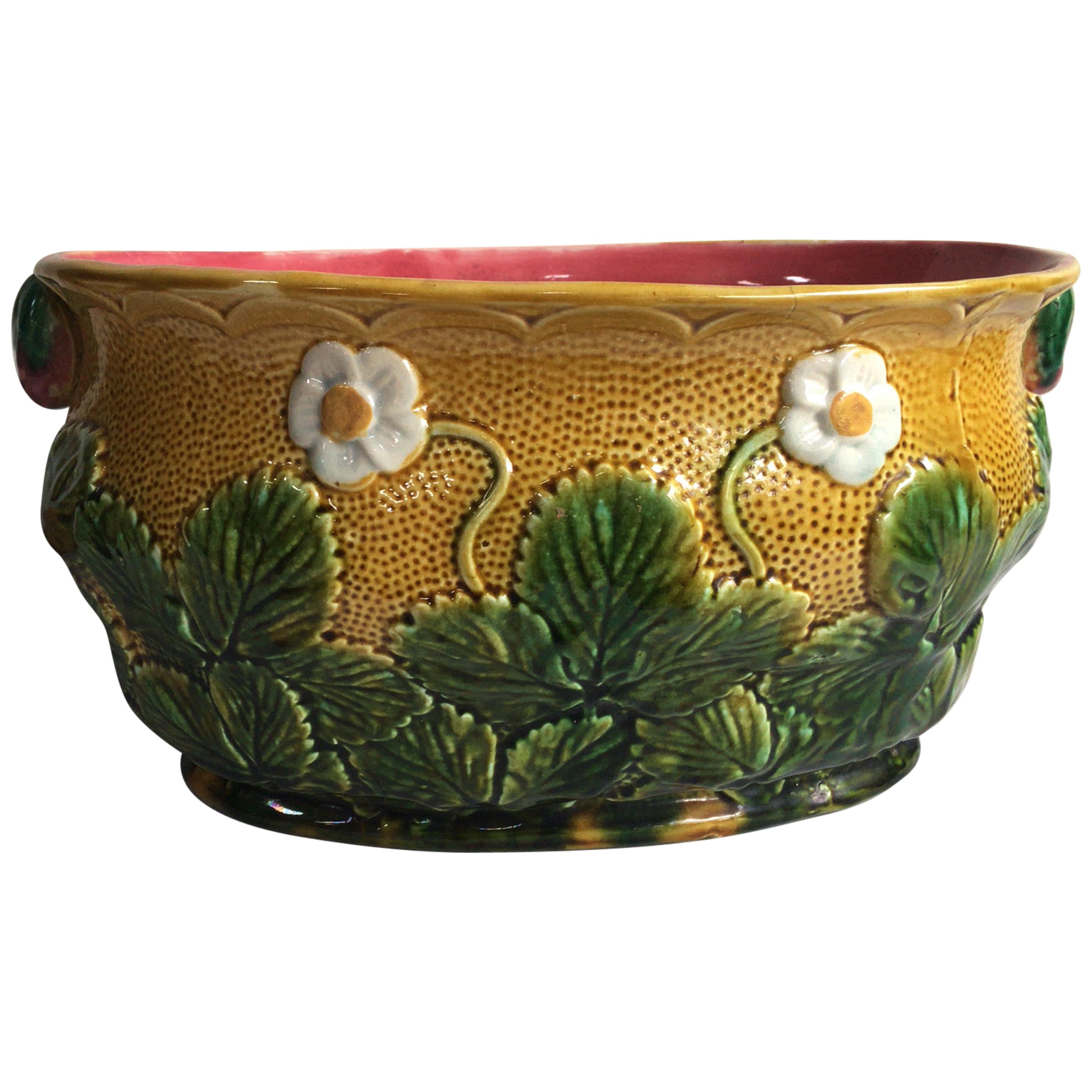 Ceramic Large French Majolica Morning Glory Jardinière, circa 1880 For Sale