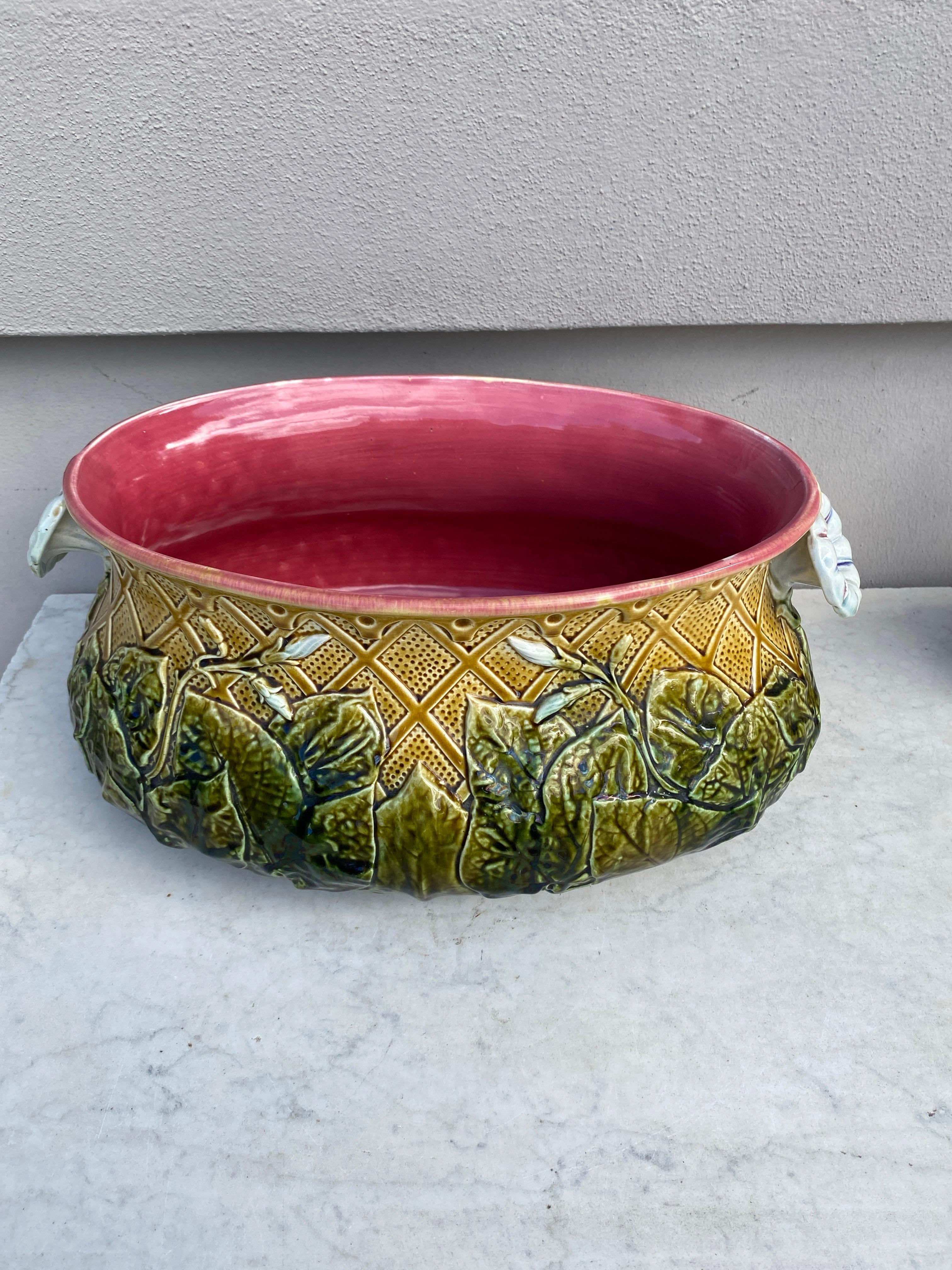 Late 19th Century Large French Majolica Morning Glory Jardinière, circa 1880 For Sale