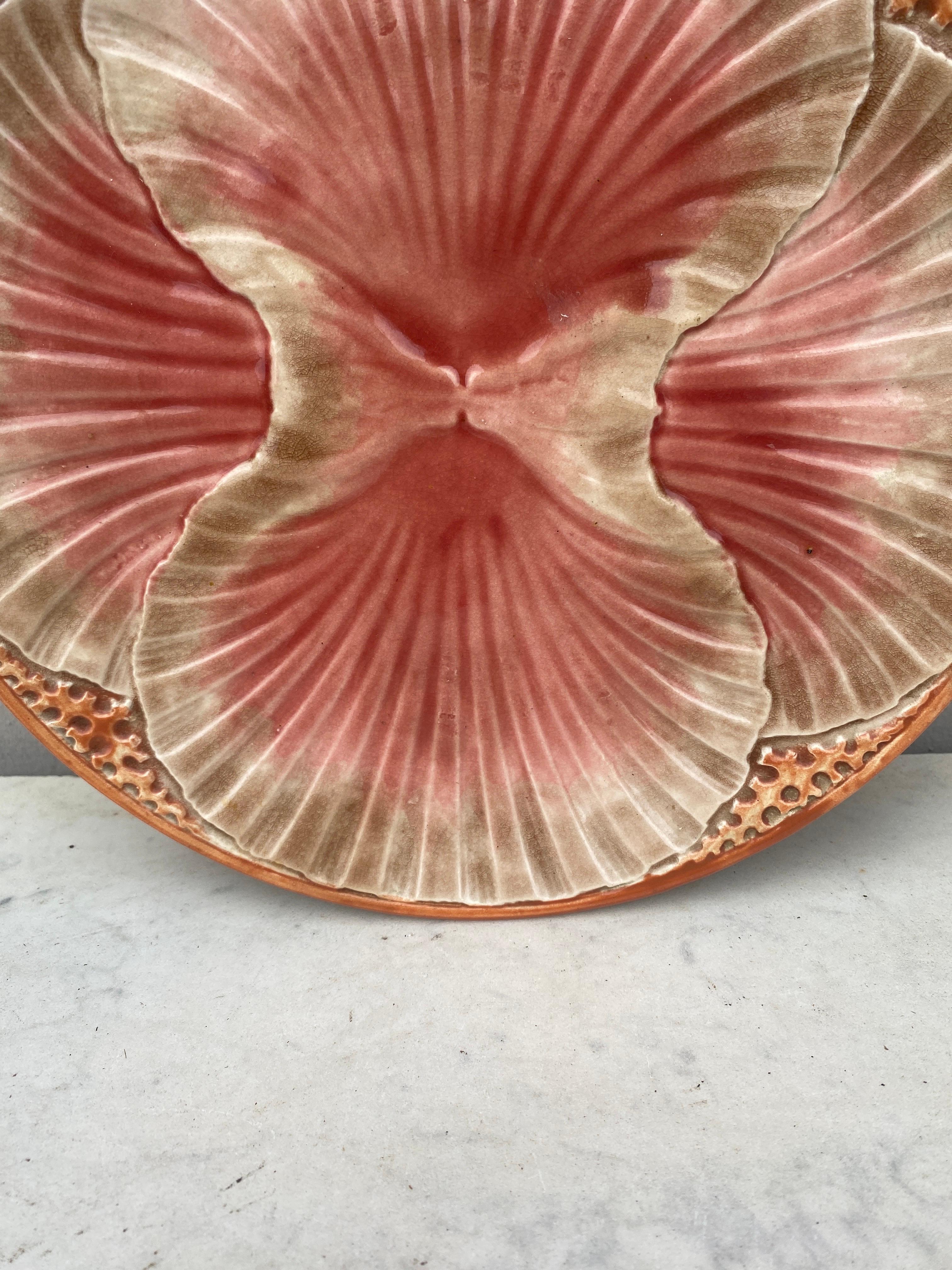 Large French Majolica Shell Plate Sarreguemines Circa 1920.
9.5 inches diameter.