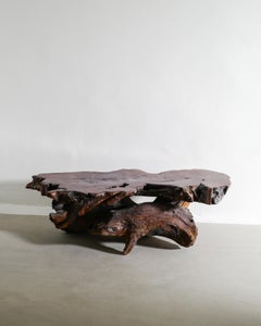 Large French Mid Century Sculptural Wooden Brutalist Root Table in Elm, 1950s