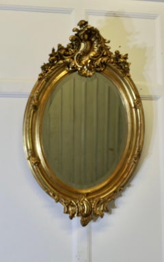 19th Century French Rococo Gilt Wall Mirror with Gesso Frame