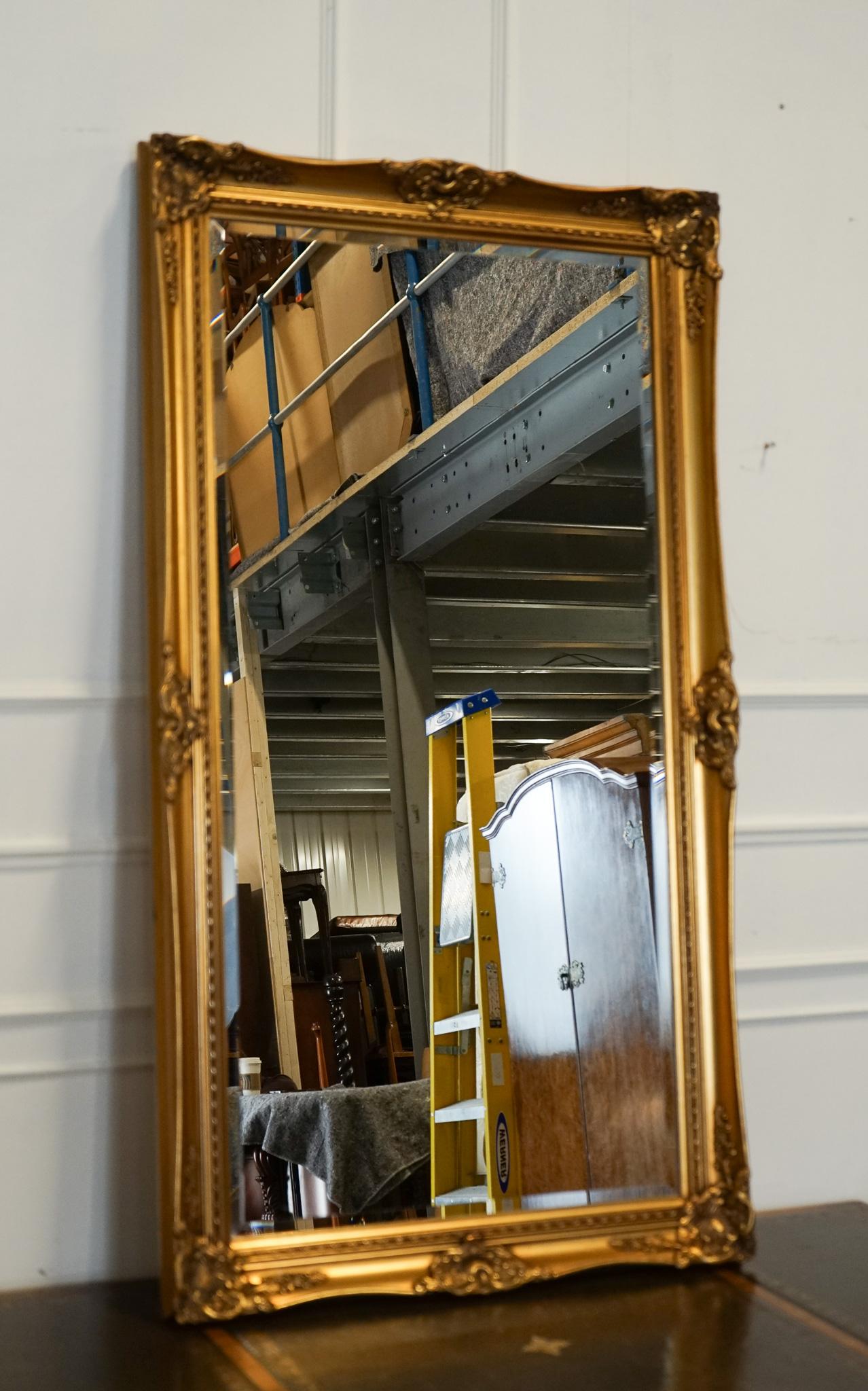 
Nous sommes ravis d'offrir à la vente ce grand miroir mural classique français doré et orné.

 Elle mesure 138 x 77 cm et respire l'opulence et l'élégance. Doté de détails complexes et d'un cadre magnifiquement embelli, il met en valeur des