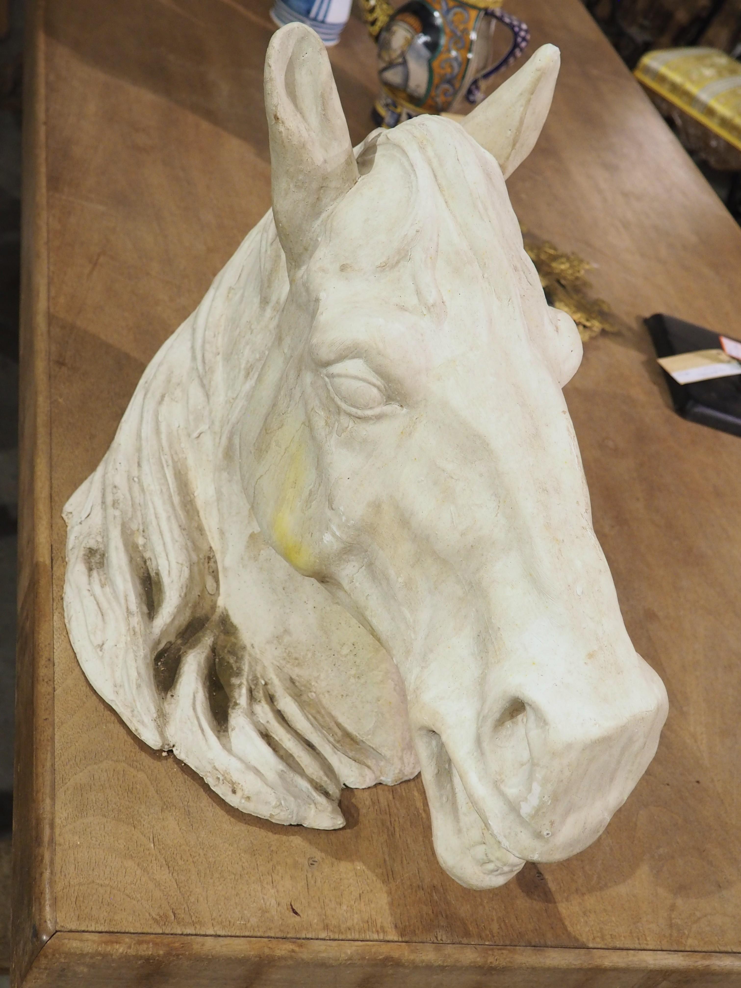 Large French Terra Cotta Horse Head Sculpture, 1960s For Sale 5