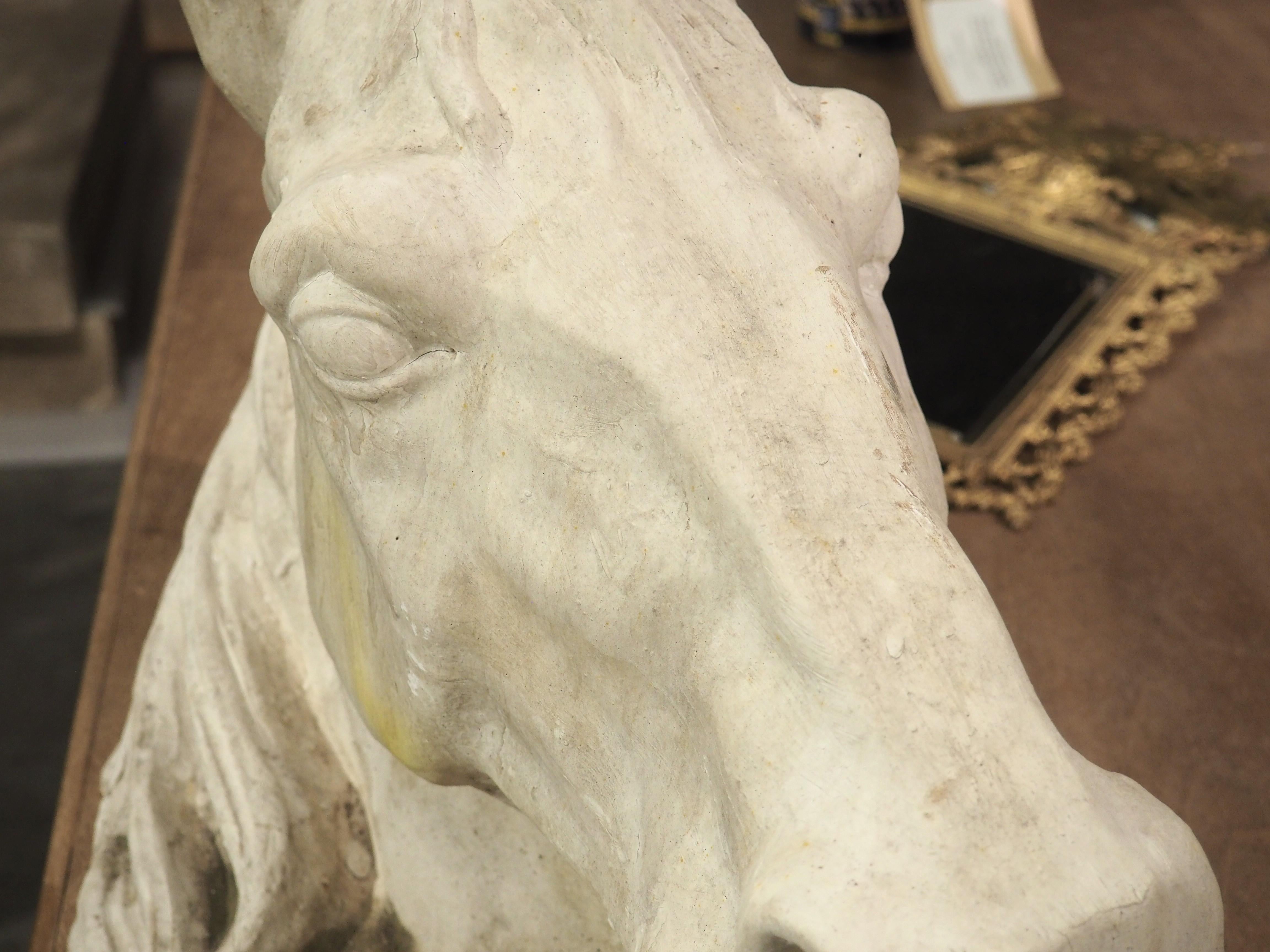 Large French Terra Cotta Horse Head Sculpture, 1960s For Sale 1