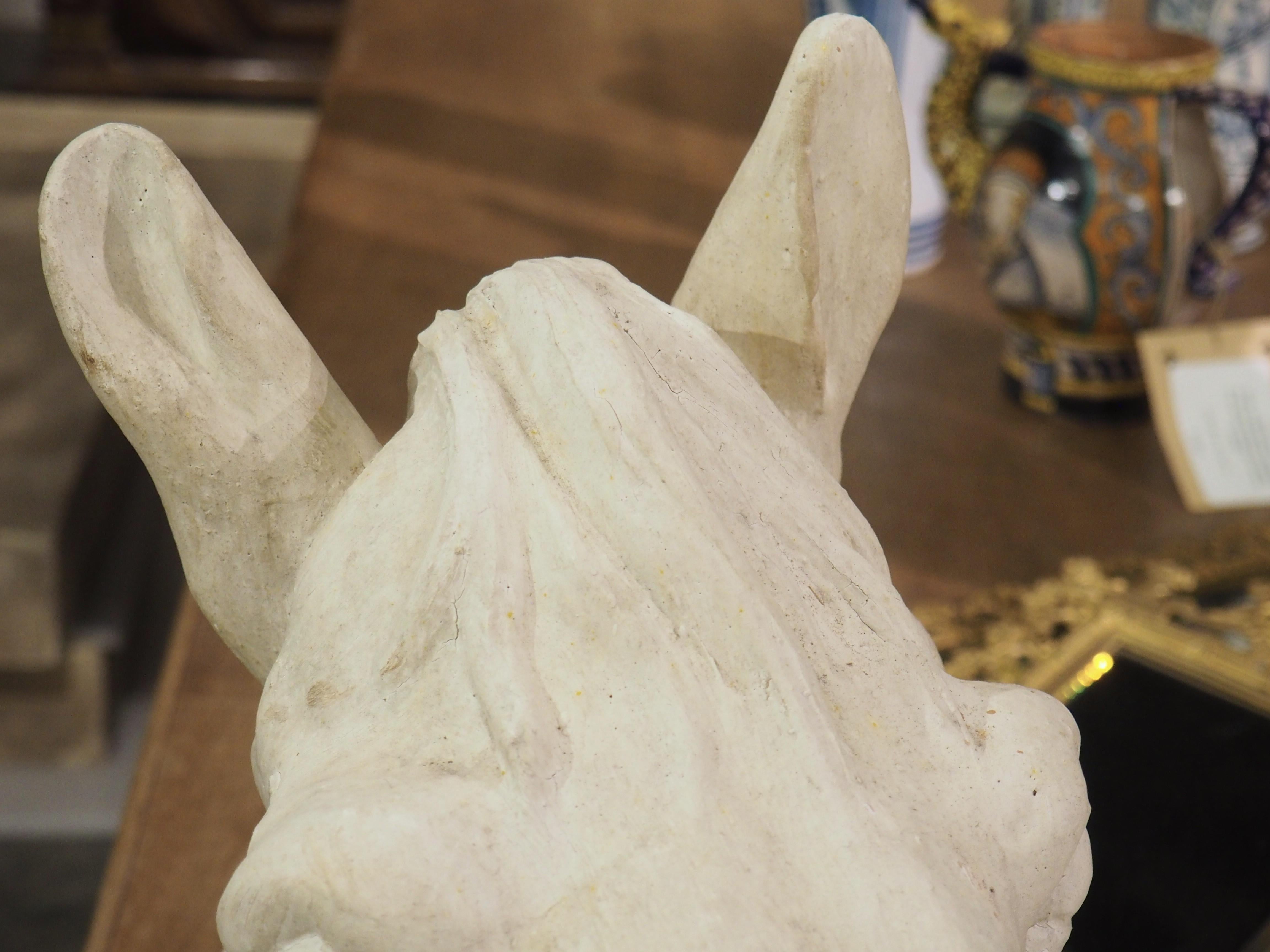 Large French Terra Cotta Horse Head Sculpture, 1960s For Sale 2