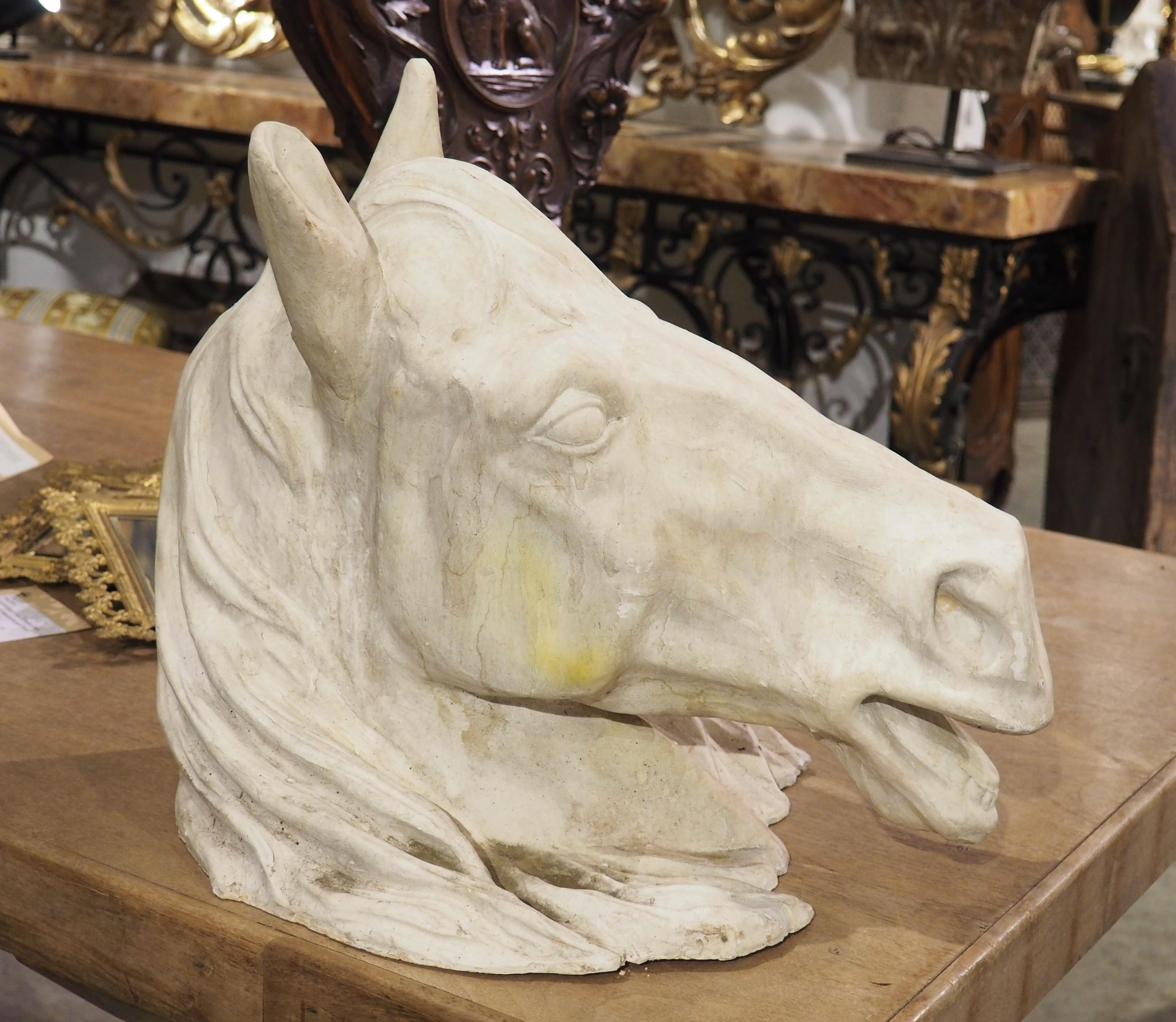 Large French Terra Cotta Horse Head Sculpture, 1960s For Sale 3