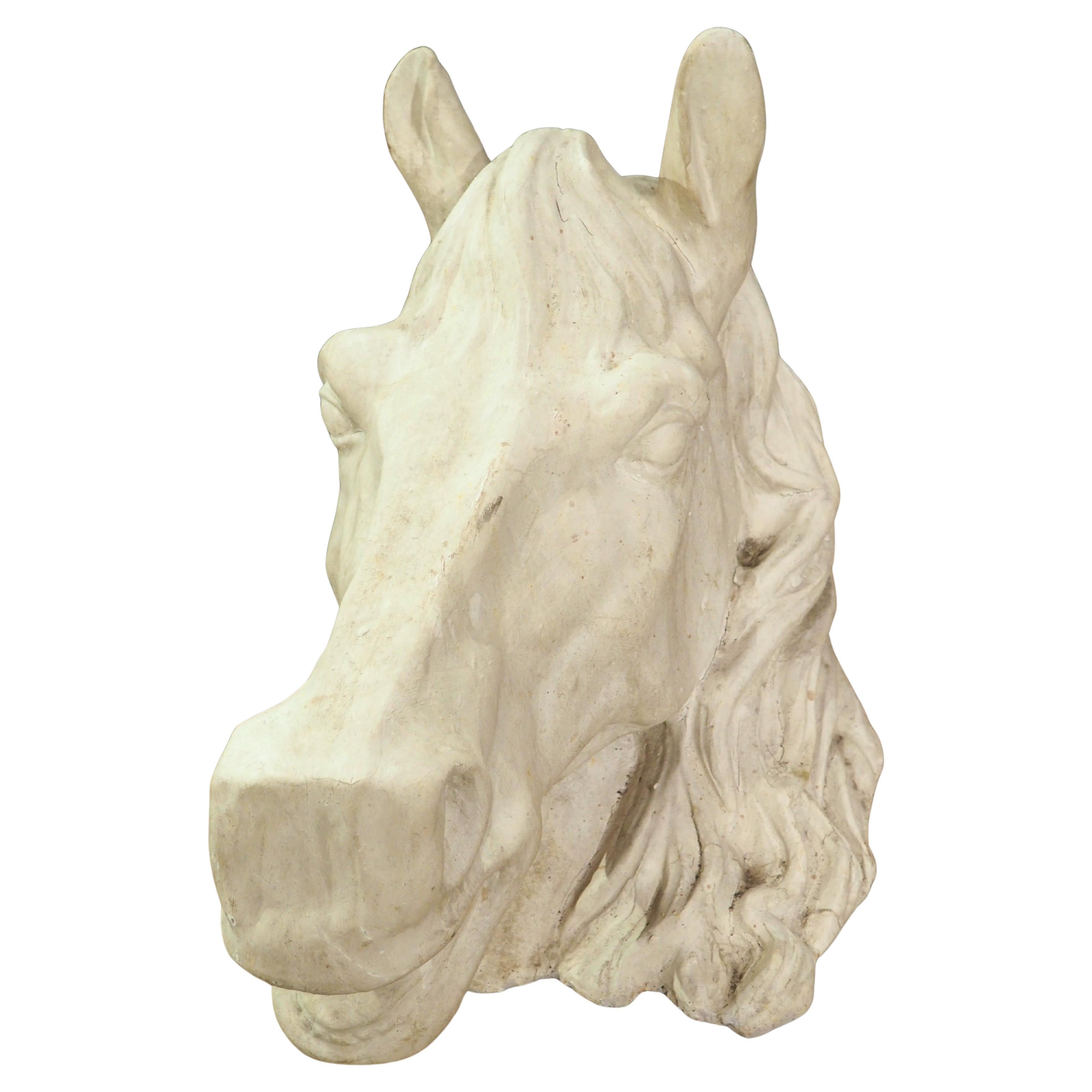 Large French Terra Cotta Horse Head Sculpture, 1960s For Sale