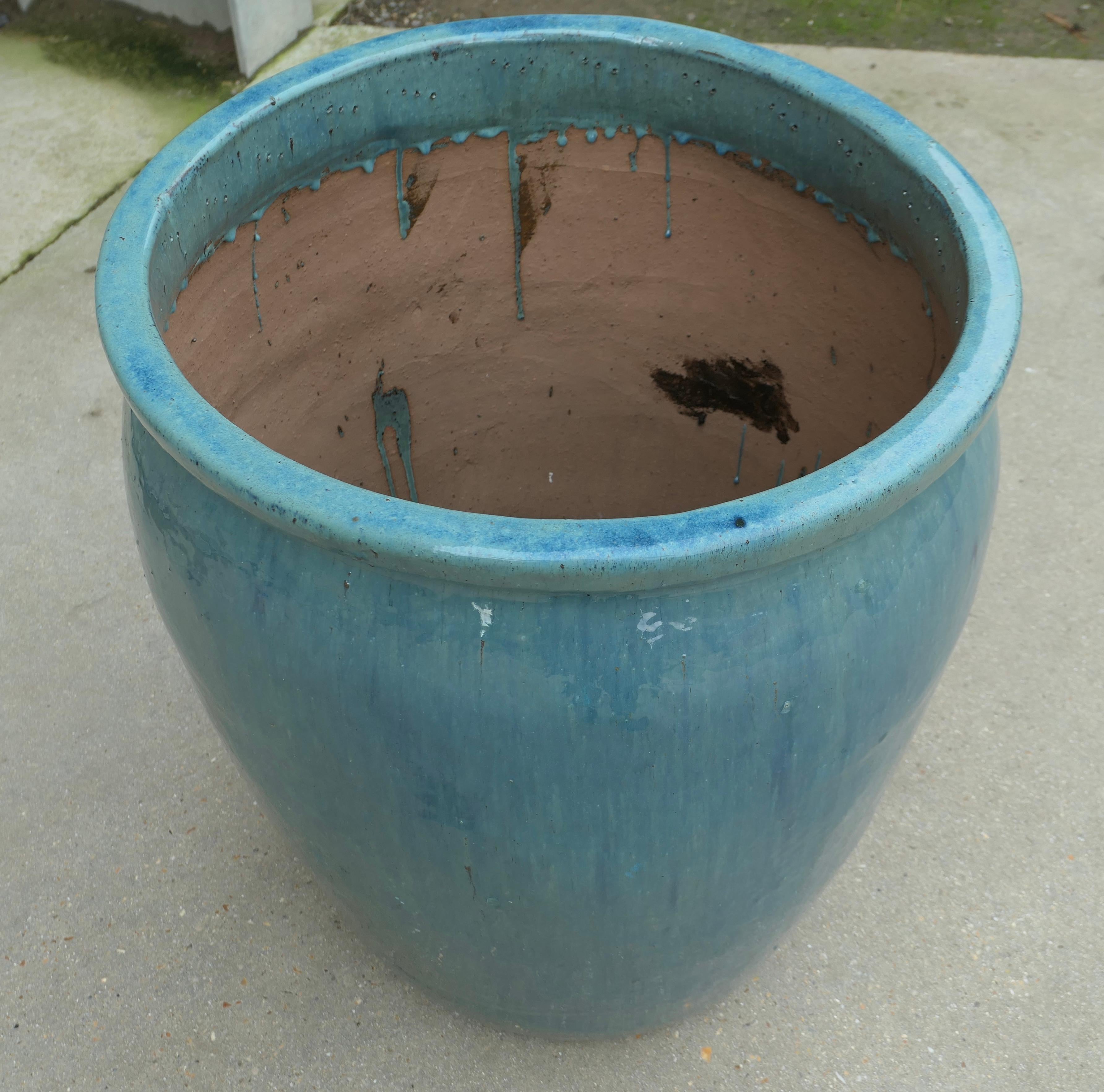 Großes französisches Terrakotta-Gartenbaum-Pflanzgefäß aus türkisblauer Terrakotta im Angebot 2
