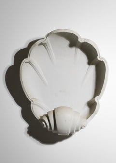 Large French Wall Light Shell in Plaster from the 80's E440