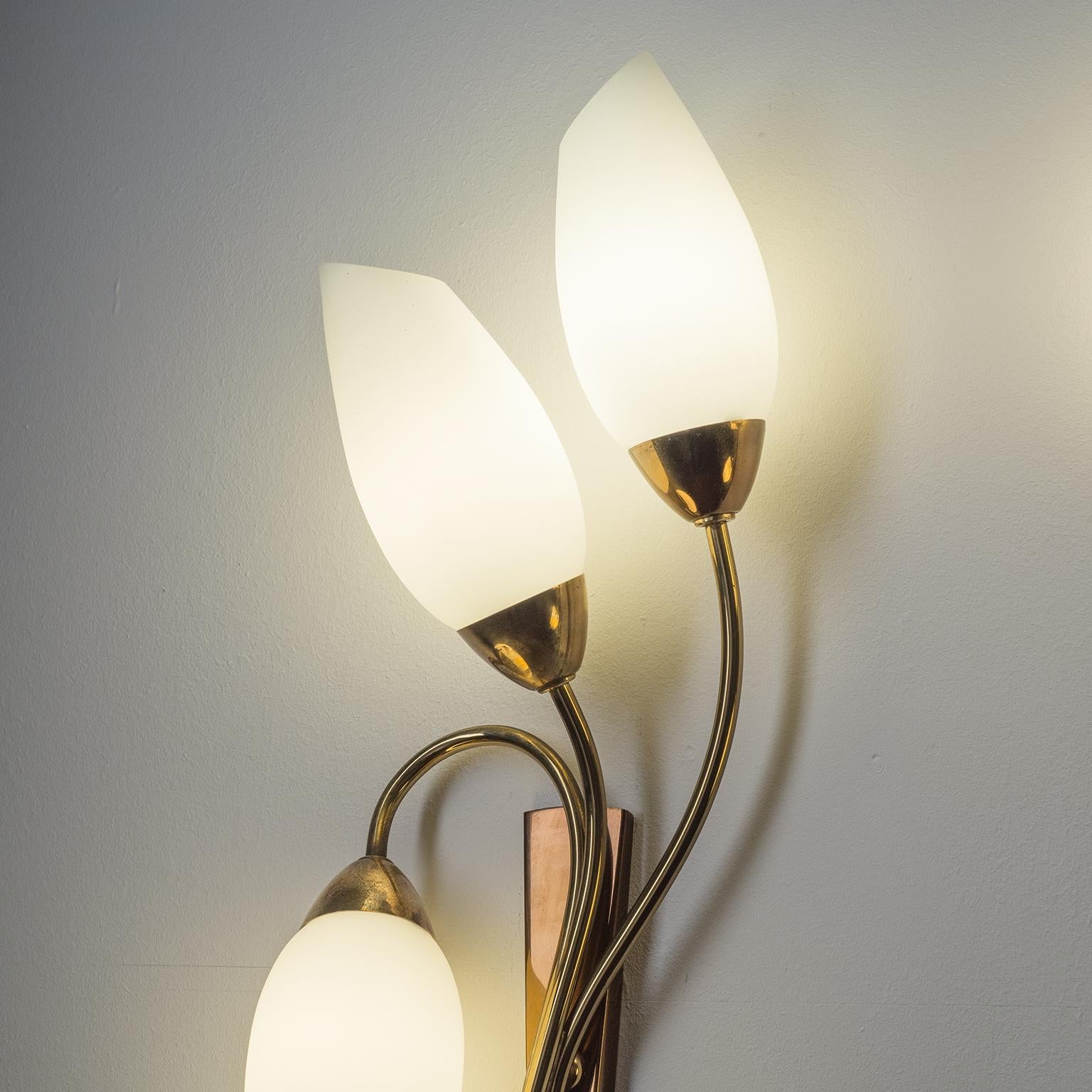 Large French Wall Lights, 1950s, Brass and Satin Glass 5