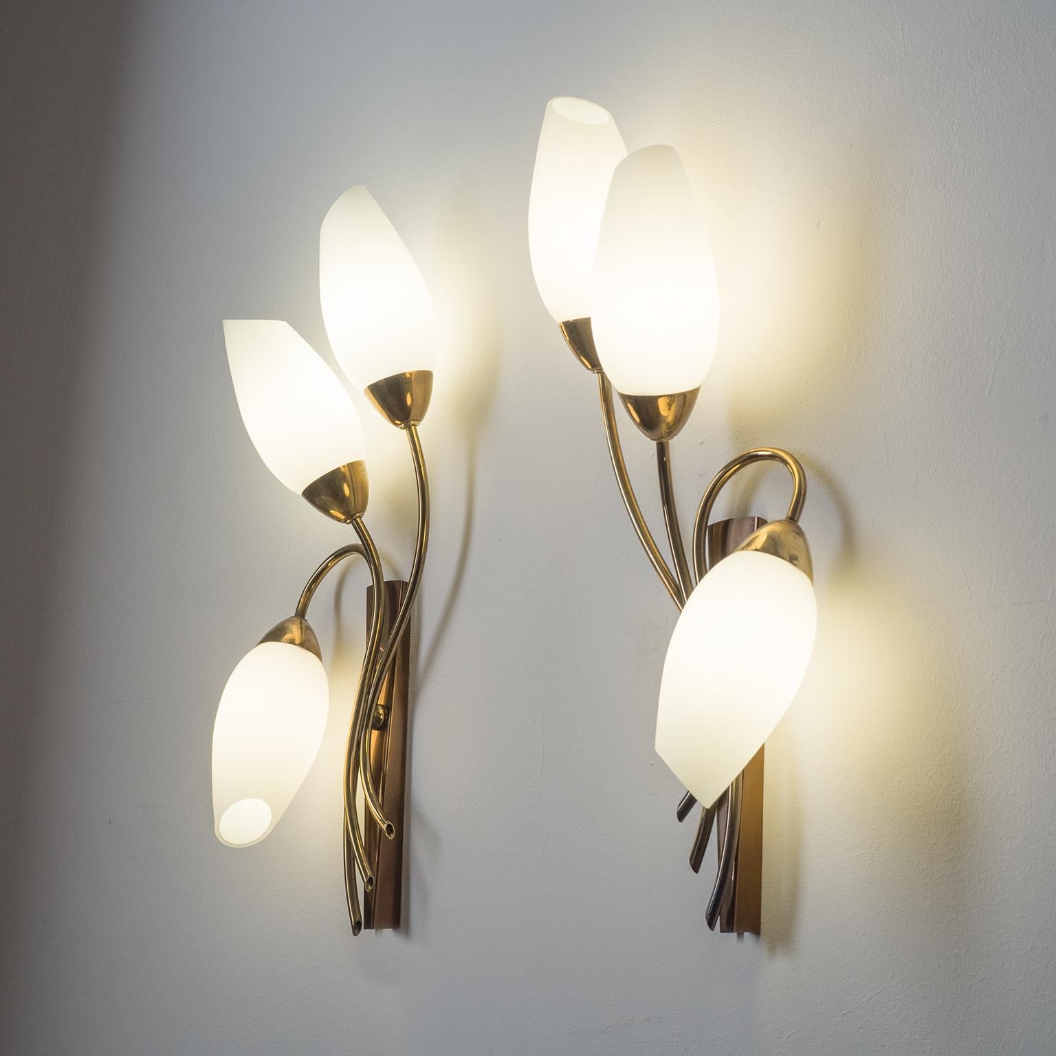 Large French Wall Lights, 1950s, Brass and Satin Glass 6
