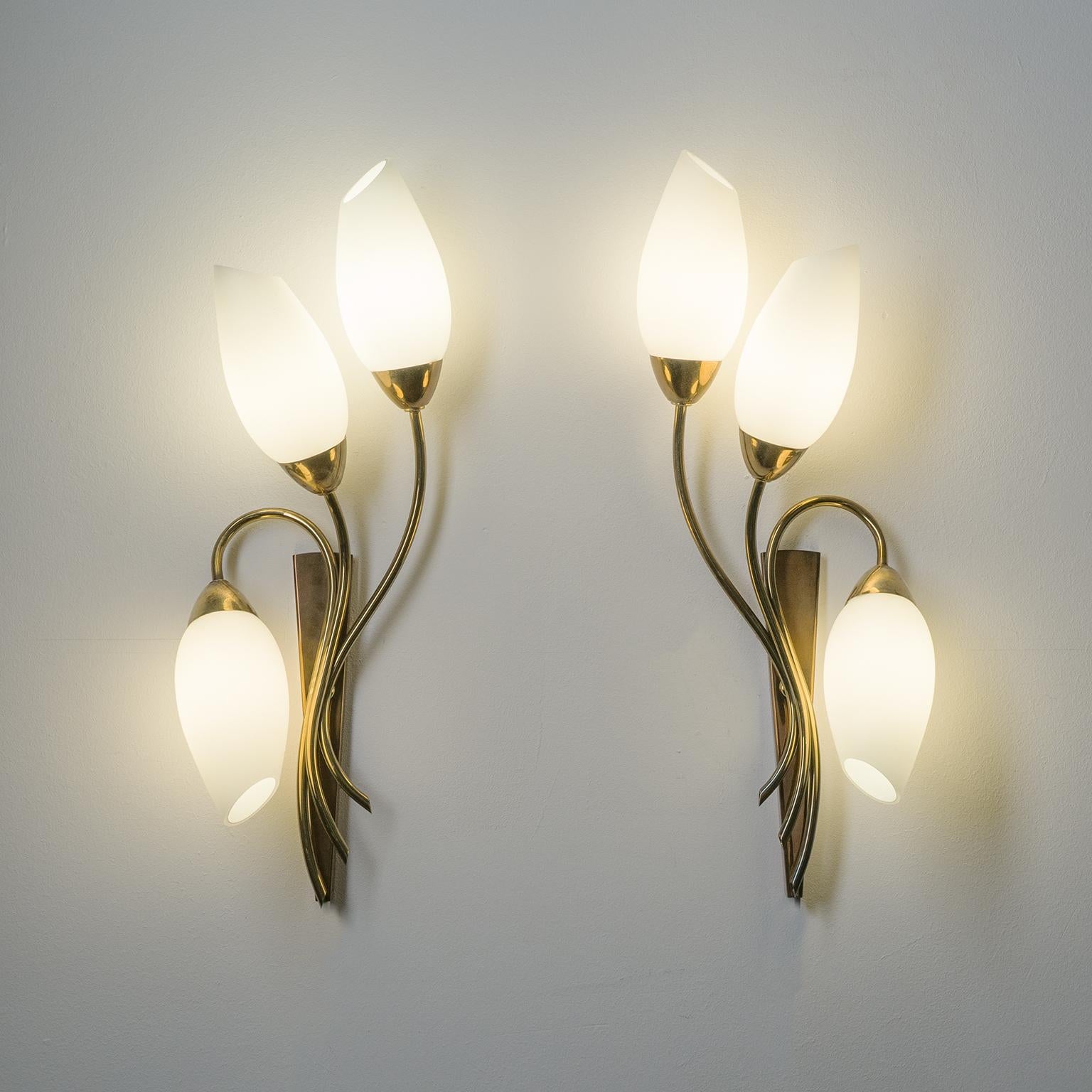 Large French Wall Lights, 1950s, Brass and Satin Glass 12