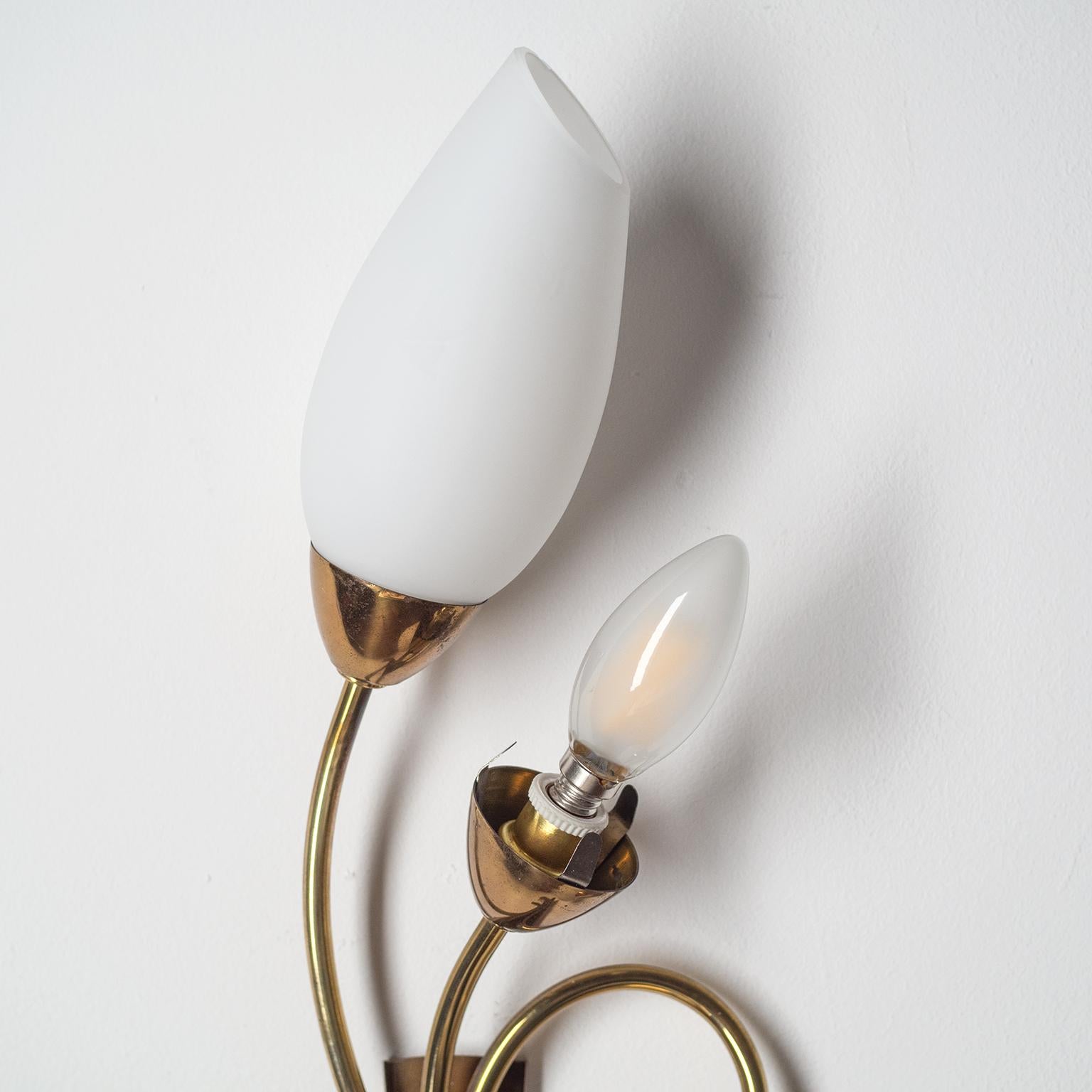 Mid-20th Century Large French Wall Lights, 1950s, Brass and Satin Glass