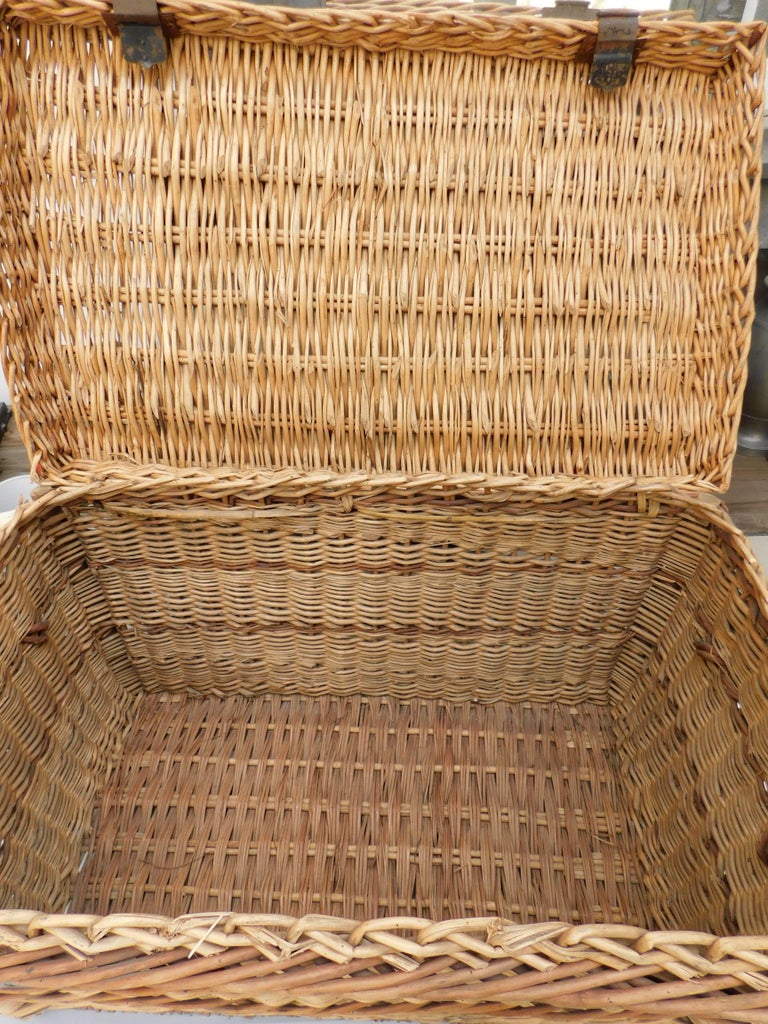 Large French Woven Willow Wicker Basket Trunk at 1stdibs