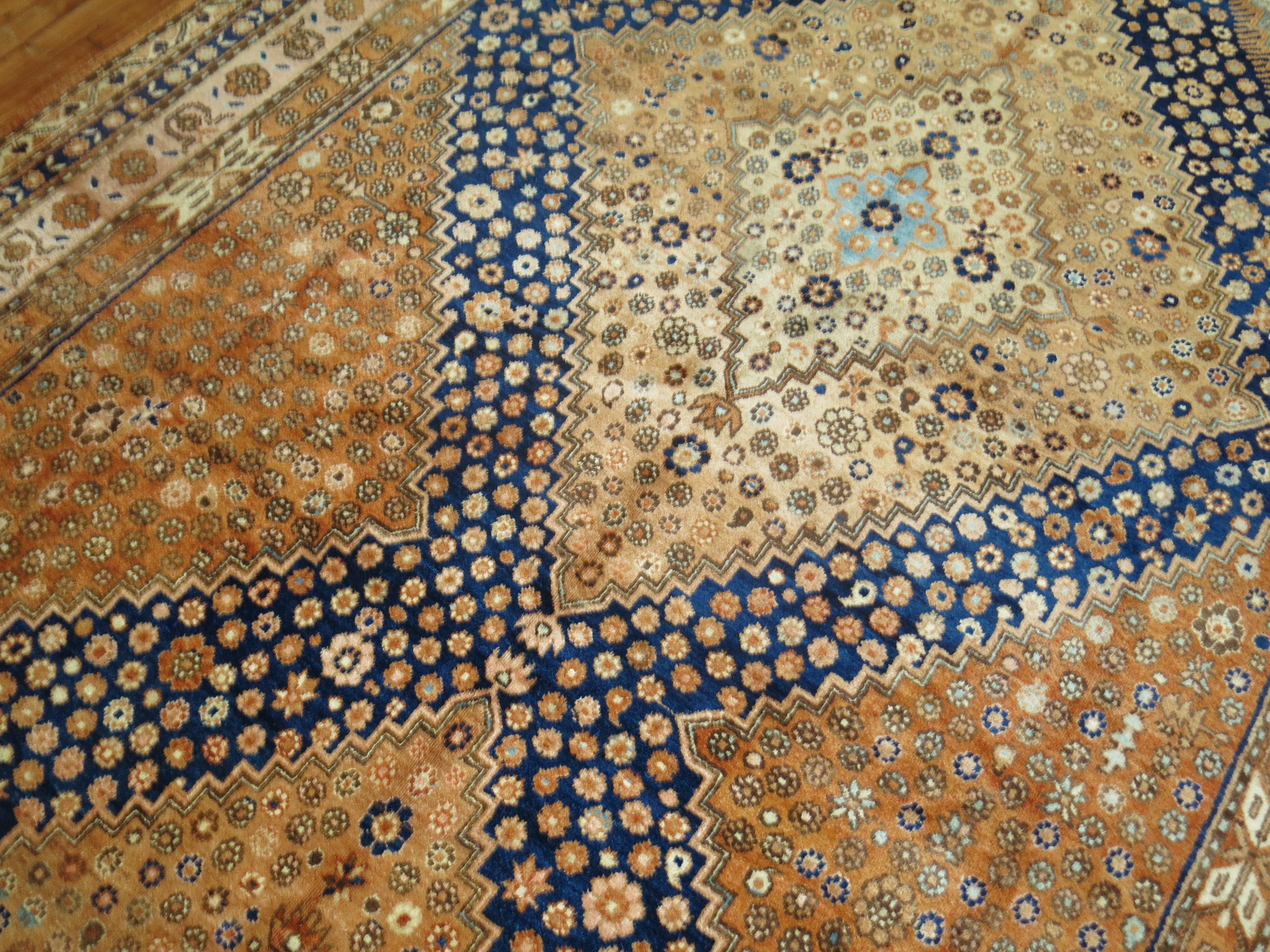 Großer Khotan-Teppich in Galeriegröße (20. Jahrhundert) im Angebot