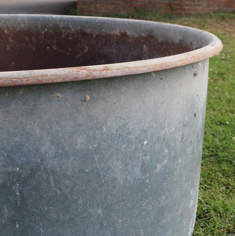 Large Galvanised Planter at 1stDibs