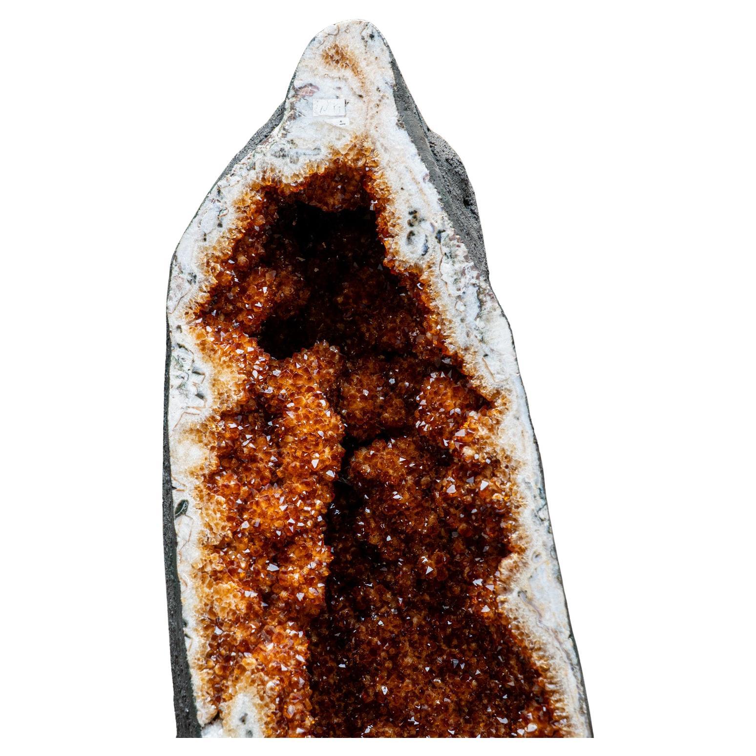 Geode a grappolo di cristallo citrino autentico di grandi dimensioni dal Brasile (145,5 lbs)