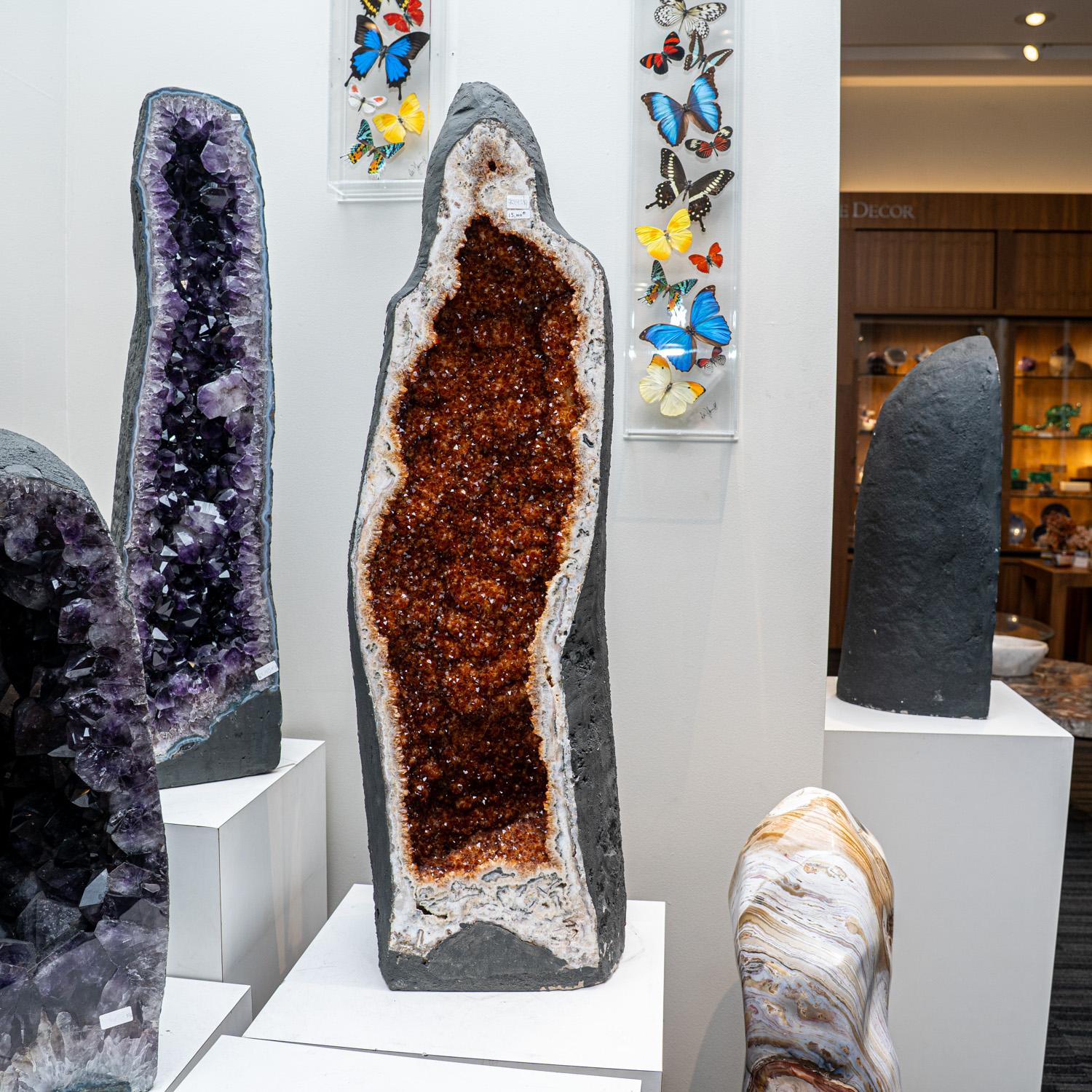 Large Genuine Citrine Crystal Clustered Geode from Brazil (155 lbs) In New Condition For Sale In New York, NY