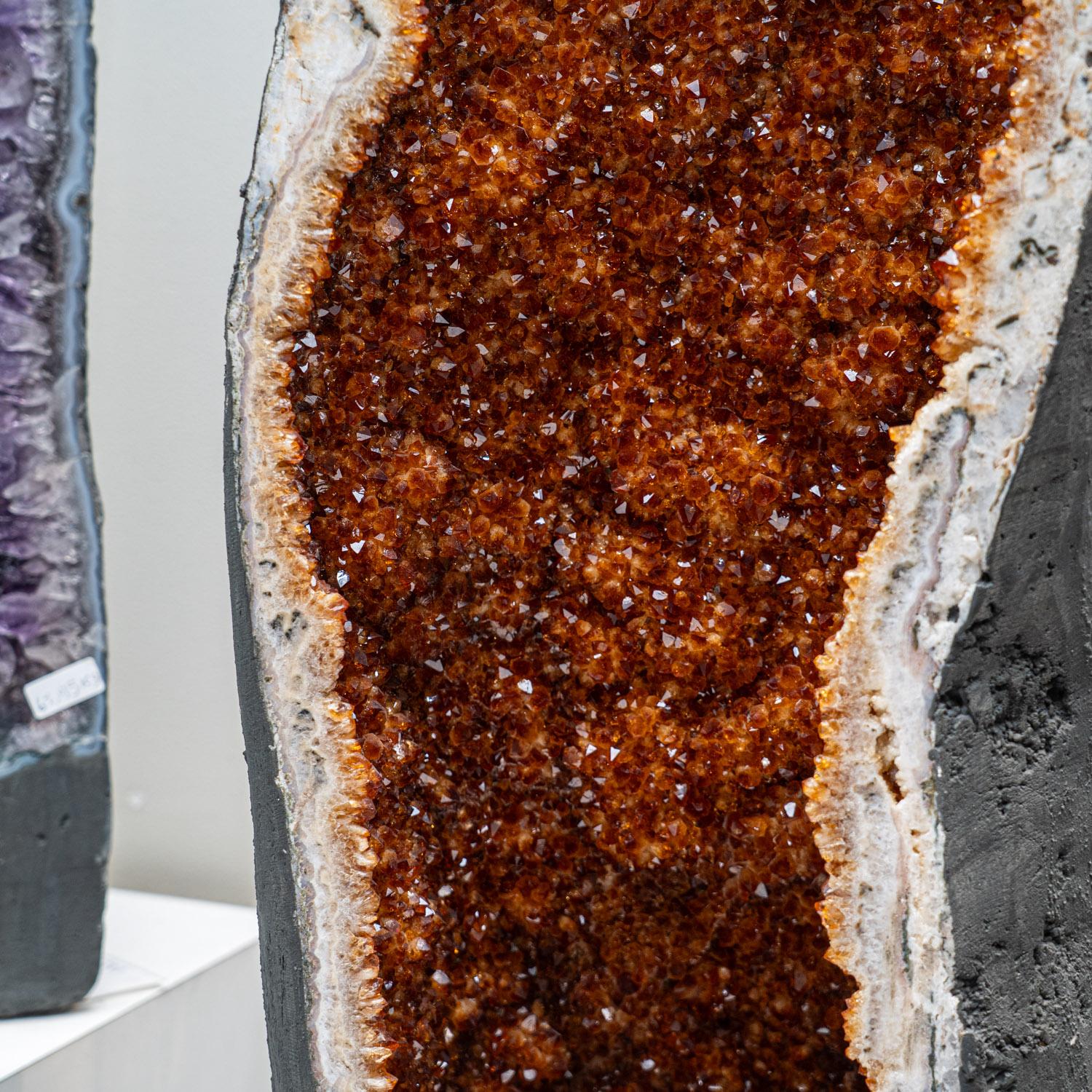 Contemporary Large Genuine Citrine Crystal Clustered Geode from Brazil (155 lbs) For Sale