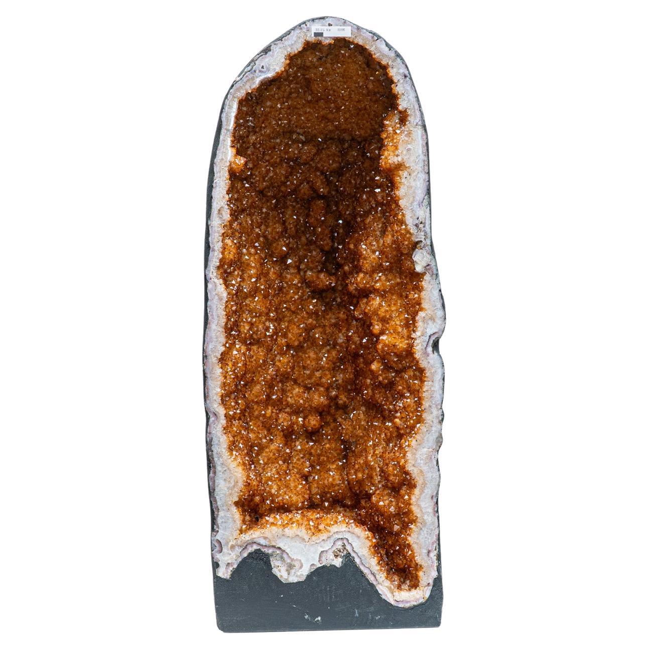 Geode a grappolo di cristallo citrino autentico di grandi dimensioni proveniente dal Brasile (93 libbre)