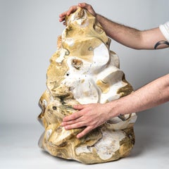 Große echte polierte Ozean- Jaspis-Flammen frei geformt (213 lbs)