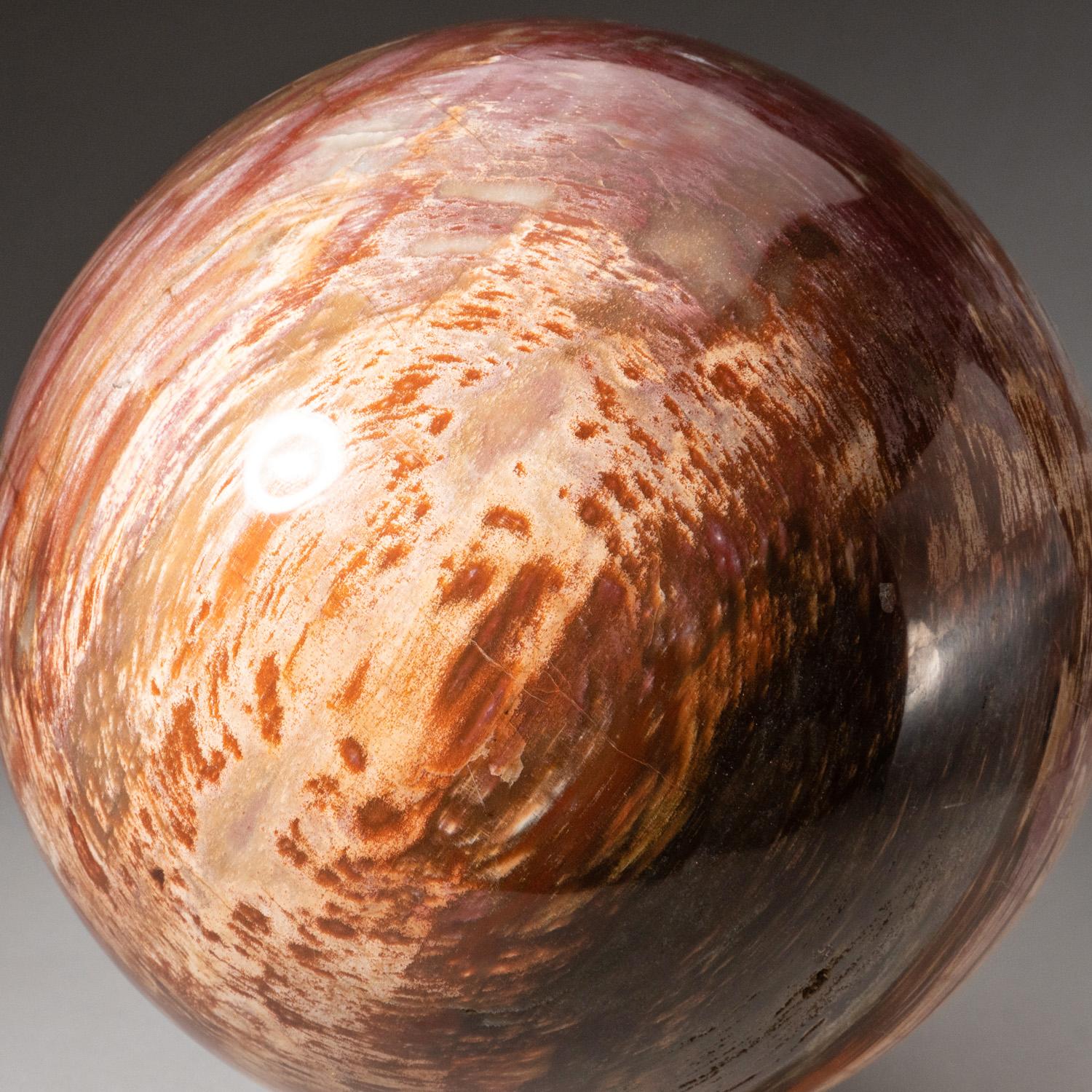 Sfera in legno pietrificato di prima qualità, proveniente dal Madagascar. Questo incredibile esemplare è ricavato da un solido pezzo di legno pietrificato. Lucidato a mano con finitura a specchio. Presenta un motivo sorprendente con vivaci tonalità