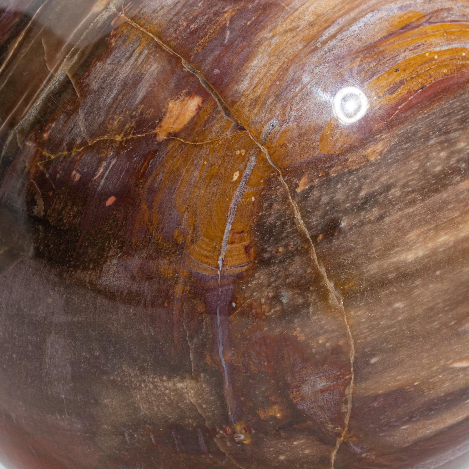 Sfera grande in vero legno pietrificato lucidato del Madagascar (6,75