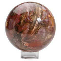 Large Genuine Polished Petrified Wood Sphere from Madagascar (6.75", 15.4 lbs)