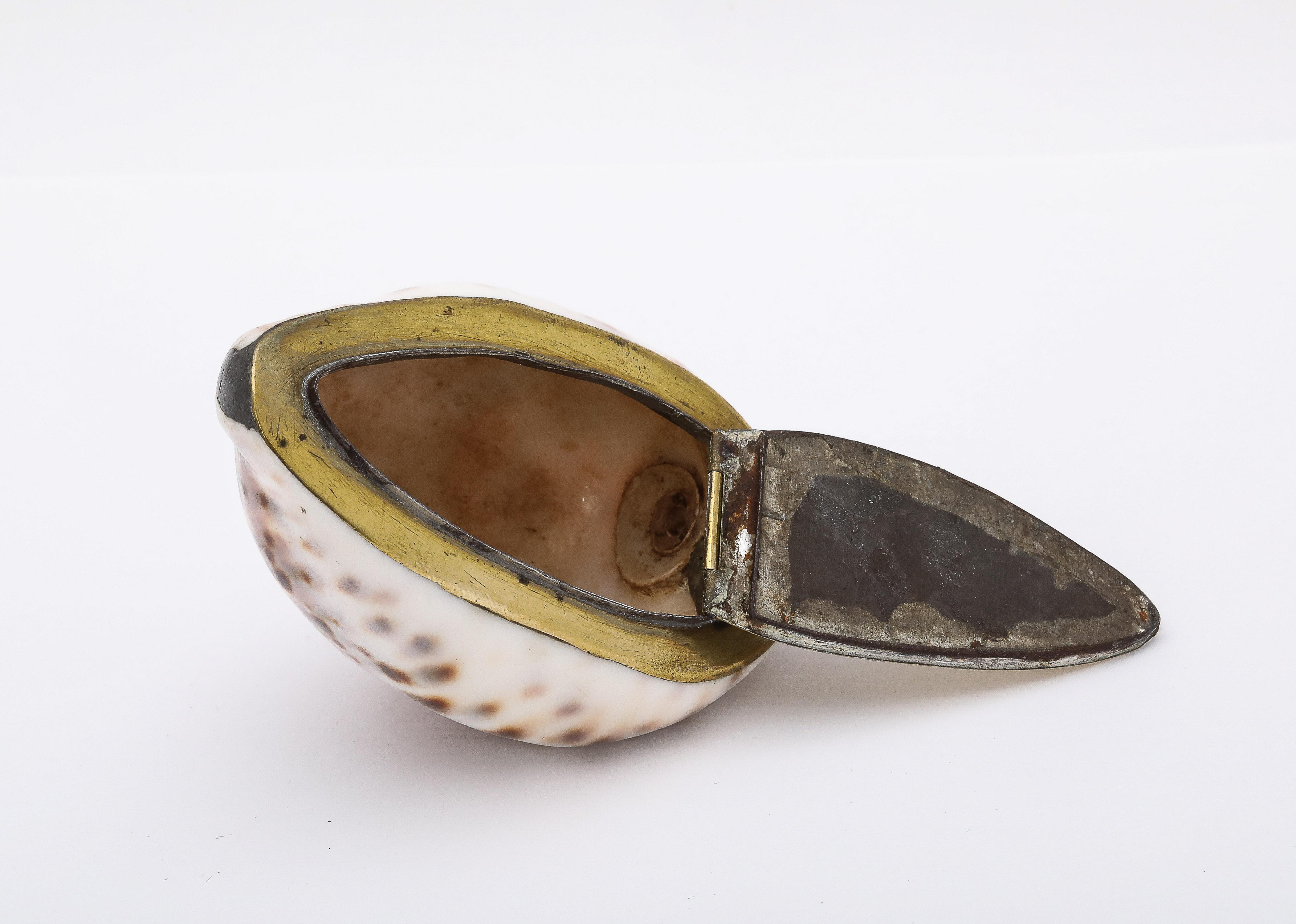 Large Georgian (George III) Brass-Mounted Cowrie Shell Snuff Box With Hinged Lid For Sale 5