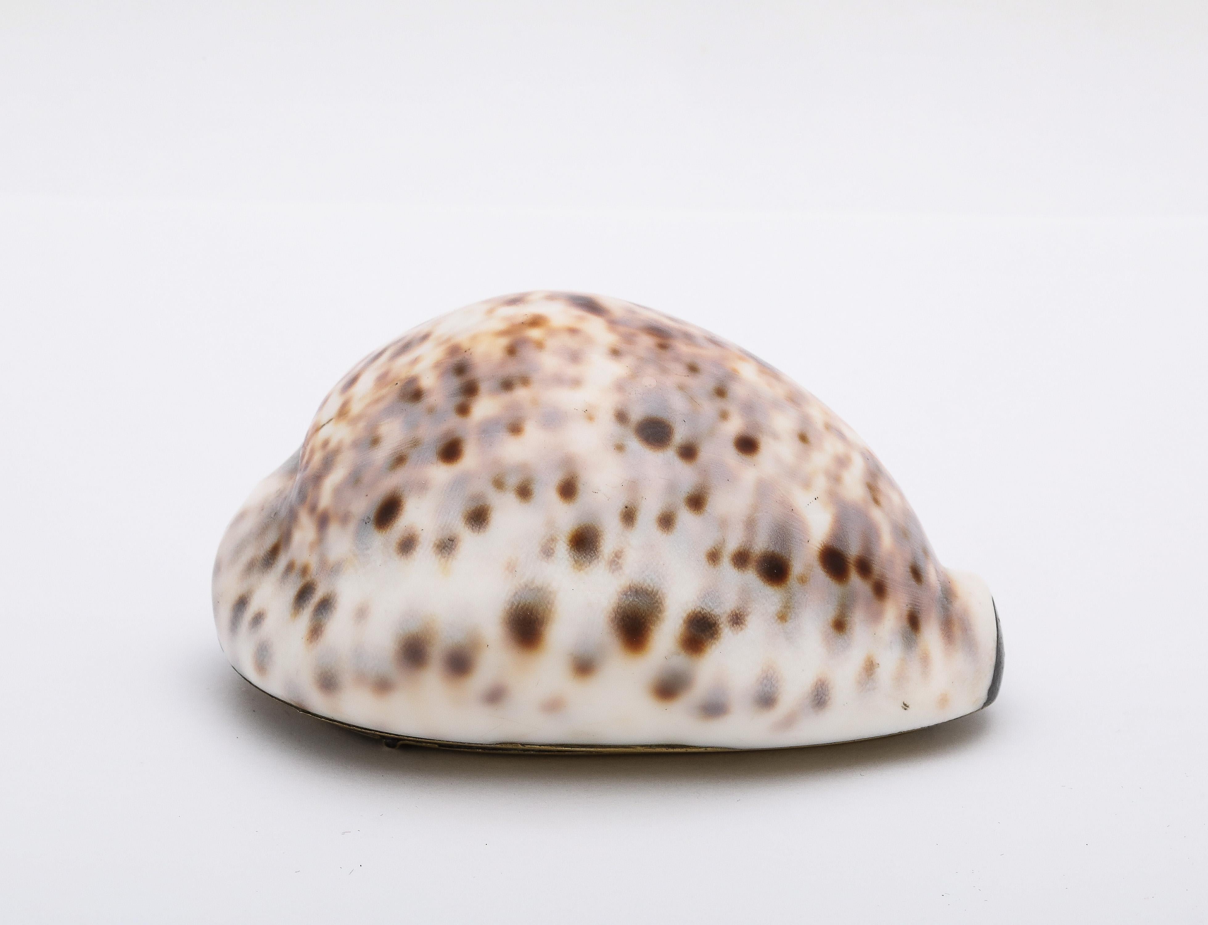 Large, Georgian (George III), brass-mounted cowrie shell snuff box with  hinged lid,  England, Ca 1810. Measures 3 1/2 inches long x 2 1/4 inches deep x 2 1/4 inches high. Dark areas on brass in photos are reflections. In very good antique condition.