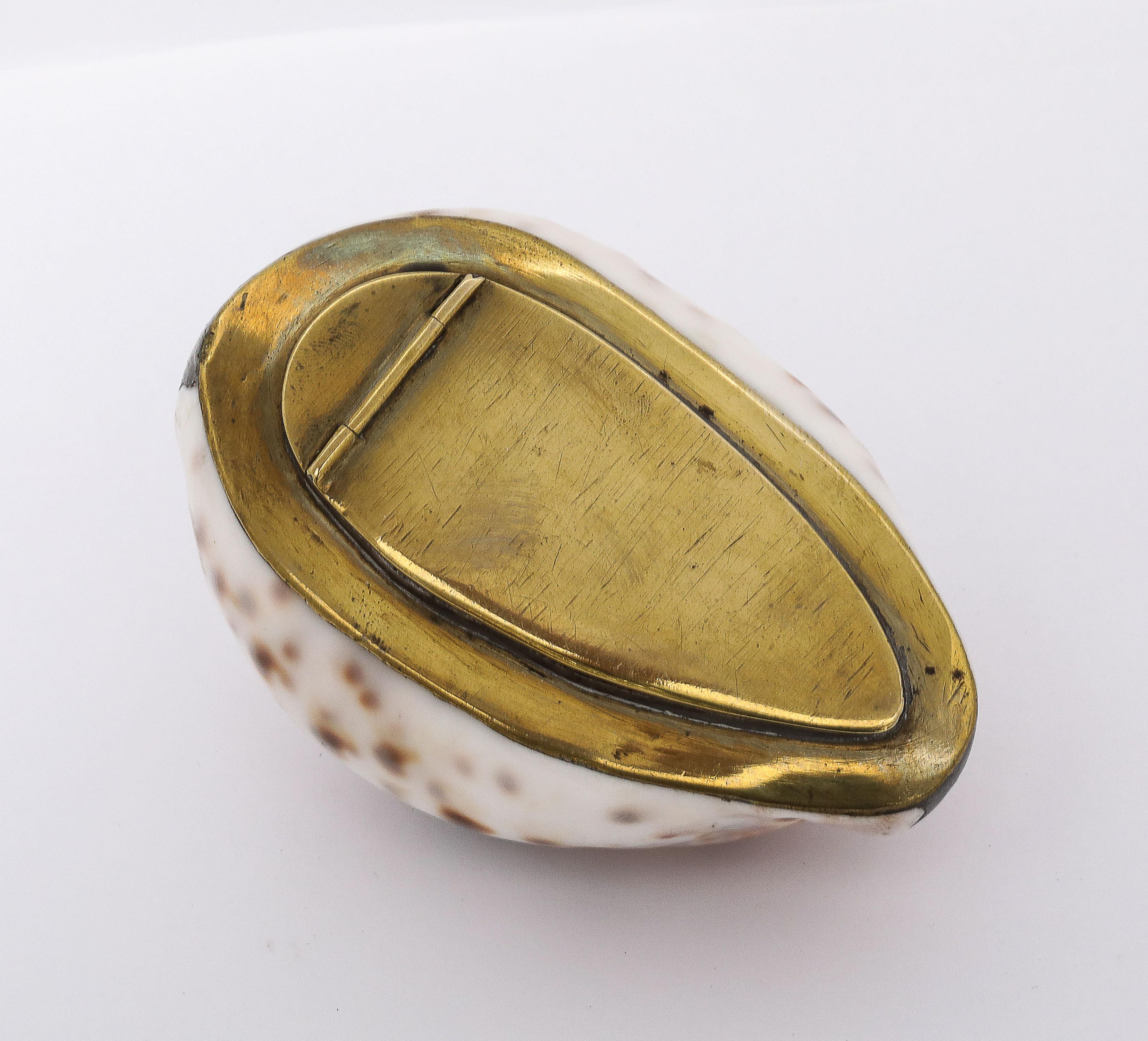 English Large Georgian (George III) Brass-Mounted Cowrie Shell Snuff Box With Hinged Lid For Sale