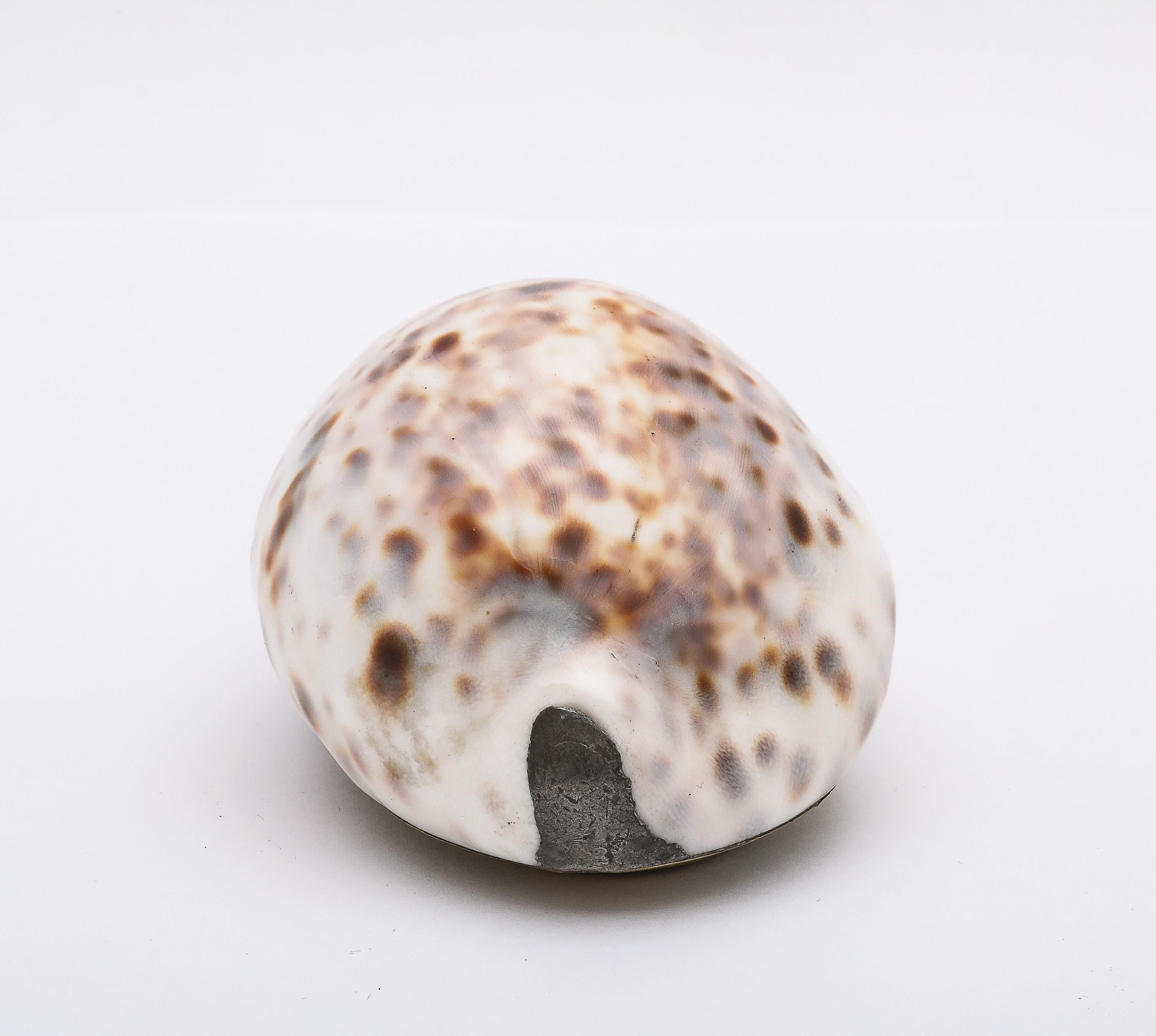 Early 19th Century Large Georgian (George III) Brass-Mounted Cowrie Shell Snuff Box With Hinged Lid For Sale