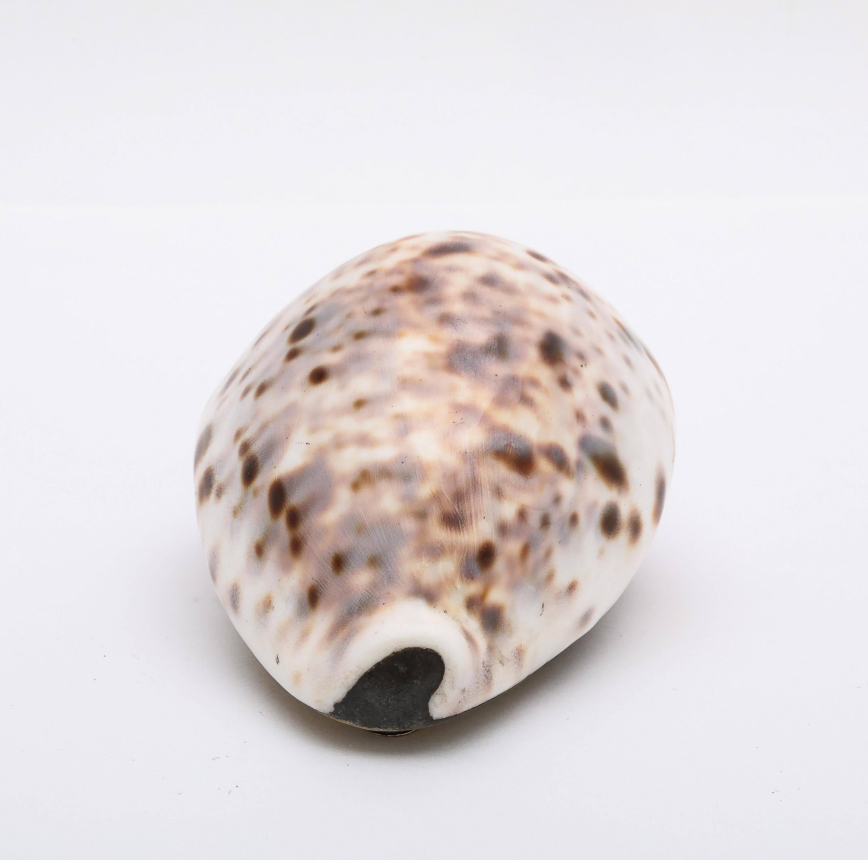 Large Georgian (George III) Brass-Mounted Cowrie Shell Snuff Box With Hinged Lid For Sale 3