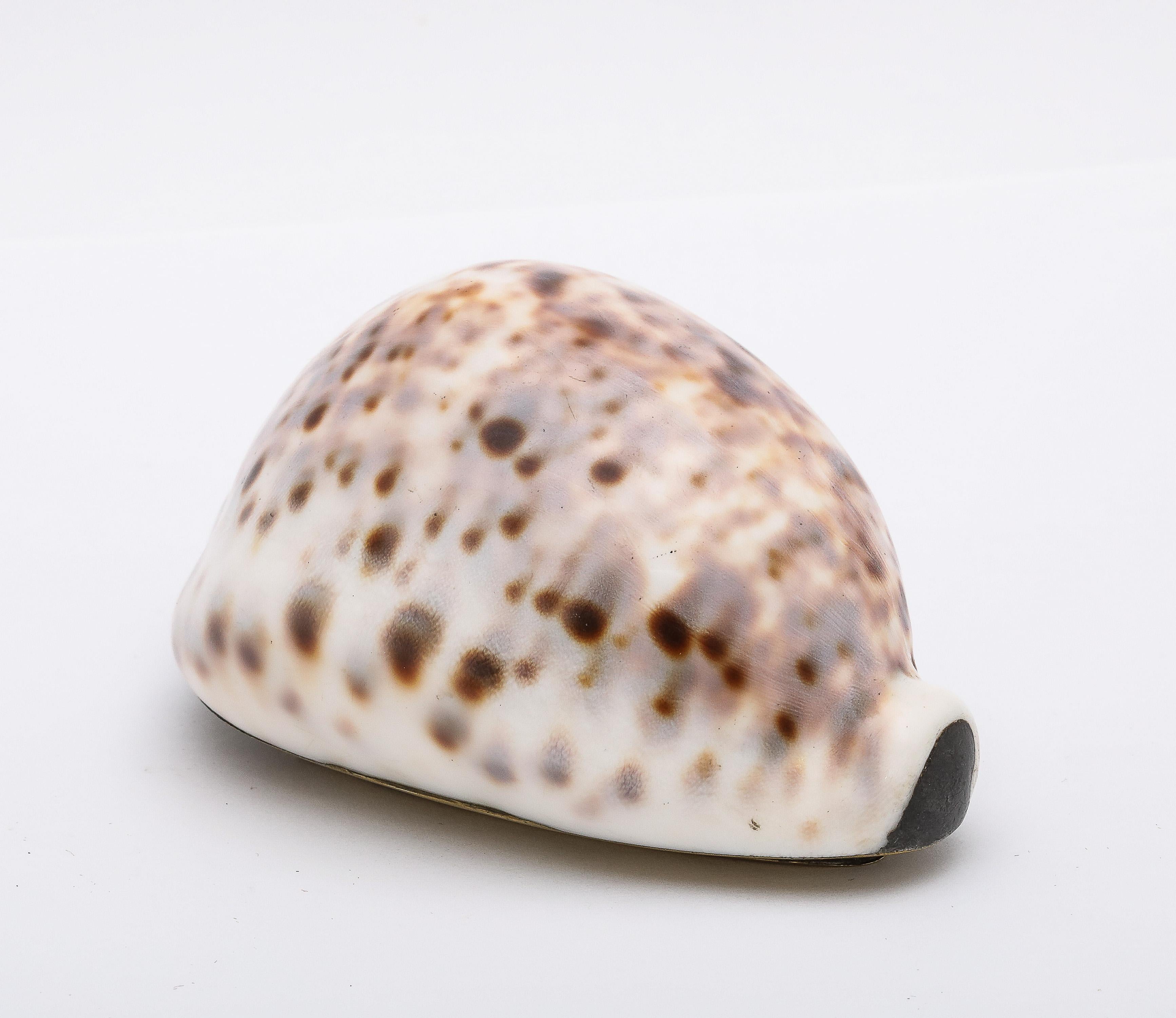 Large Georgian (George III) Brass-Mounted Cowrie Shell Snuff Box With Hinged Lid For Sale 4