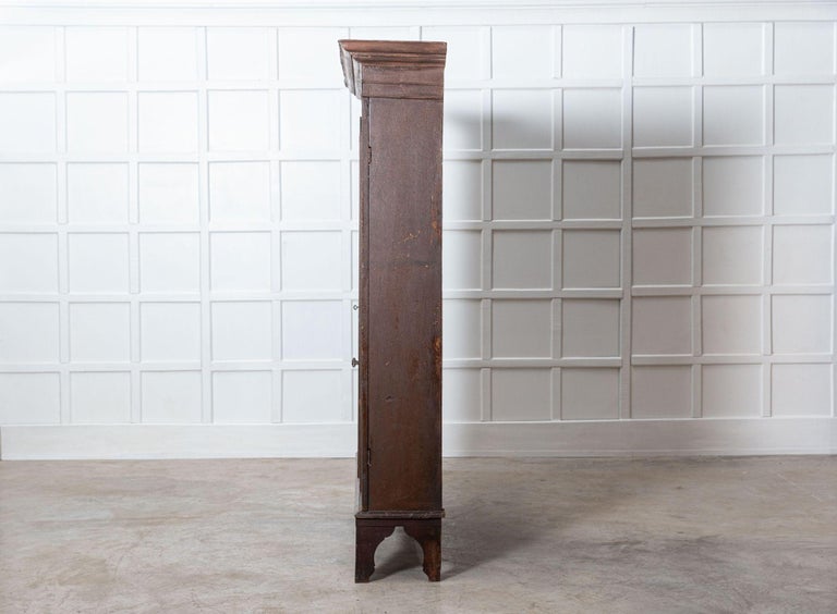 Large Painted Pine Country House Larder For Sale at