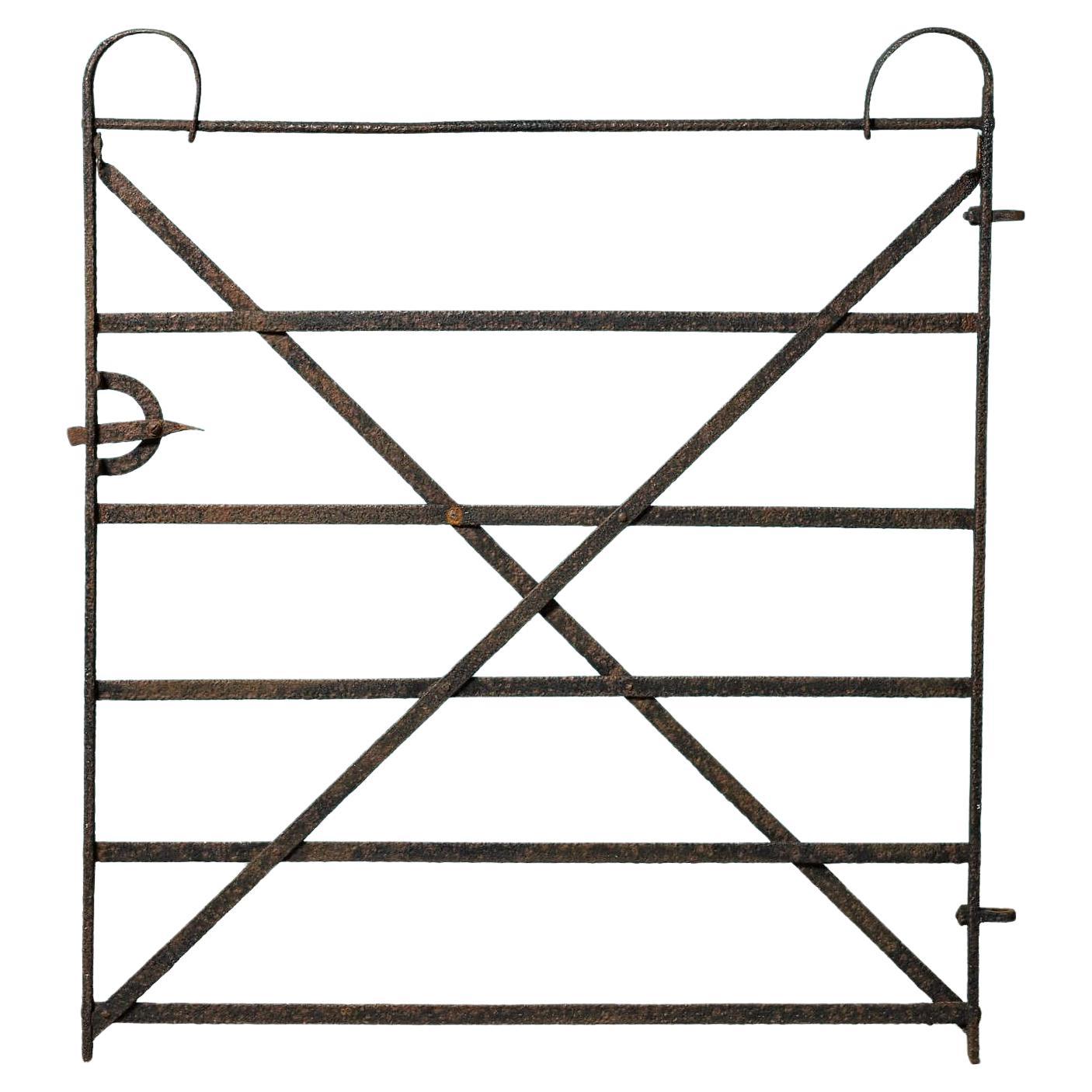 Large Georgian Wrought Iron Strapwork Garden Gate For Sale