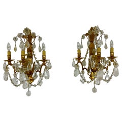 Wall Lights and Sconces