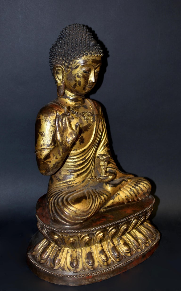 20th Century Large Gilt Bronze Buddha Young Shakyimuni Statue 29 lb  For Sale