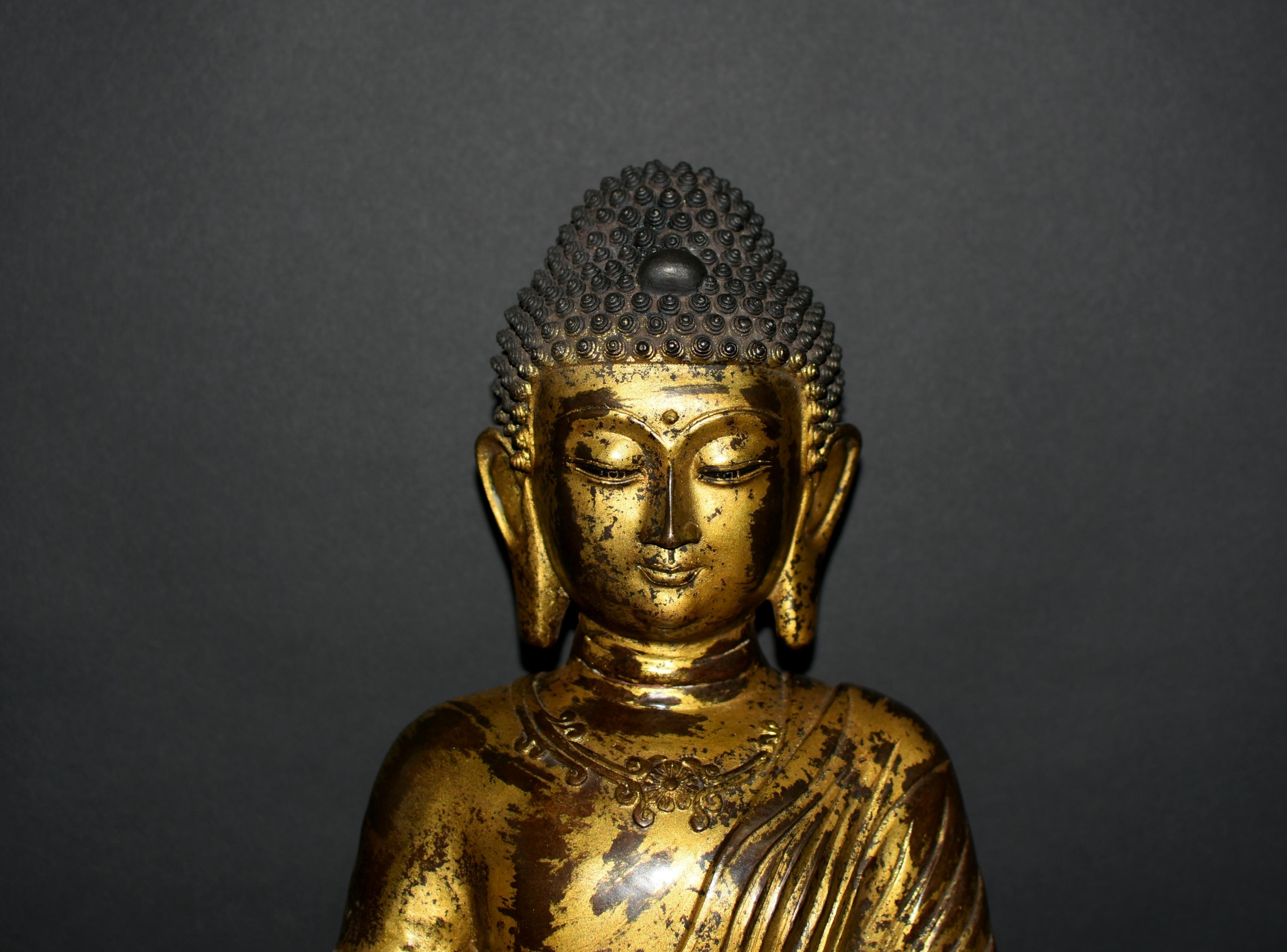 Große vergoldete Bronze Buddha Young Shakyimuni Statue 31 Lb (Ming-Dynastie) im Angebot