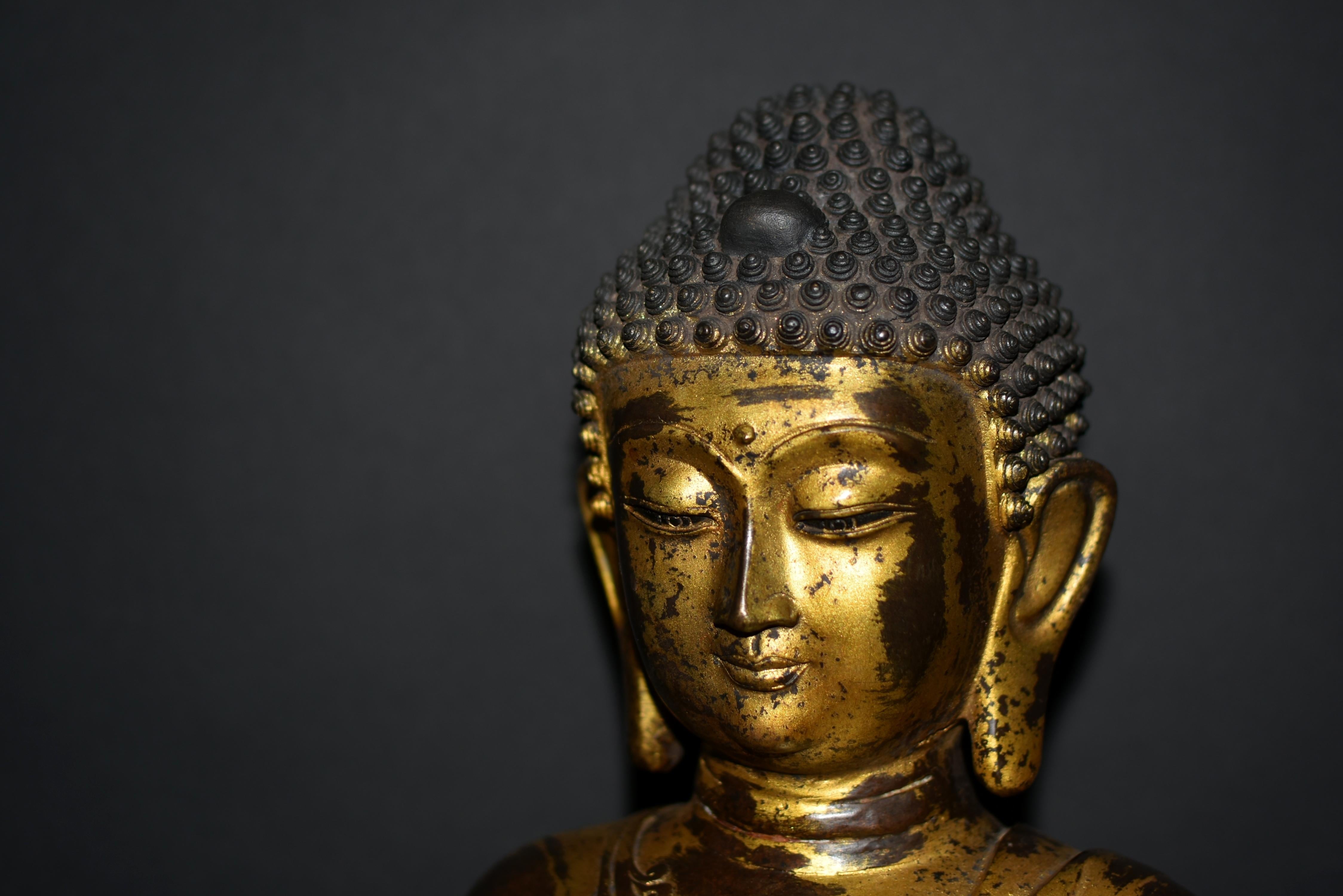 Große vergoldete Bronze Buddha Young Shakyimuni Statue 31 Lb (20. Jahrhundert) im Angebot