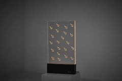 Large Gino Marotta "Pioggia" Kinetic light object in Methacrylate, Italy 1960s