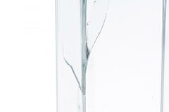 Large Glass Apothecary Jar