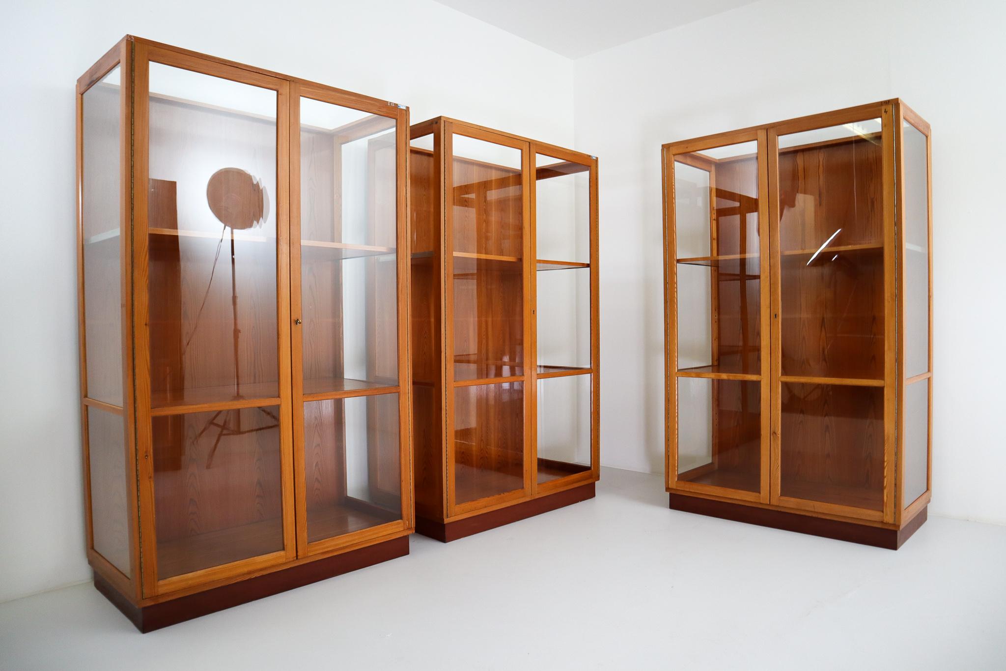 Large Glazed Display Cabinet from the National Museum in Praque 1950s 3