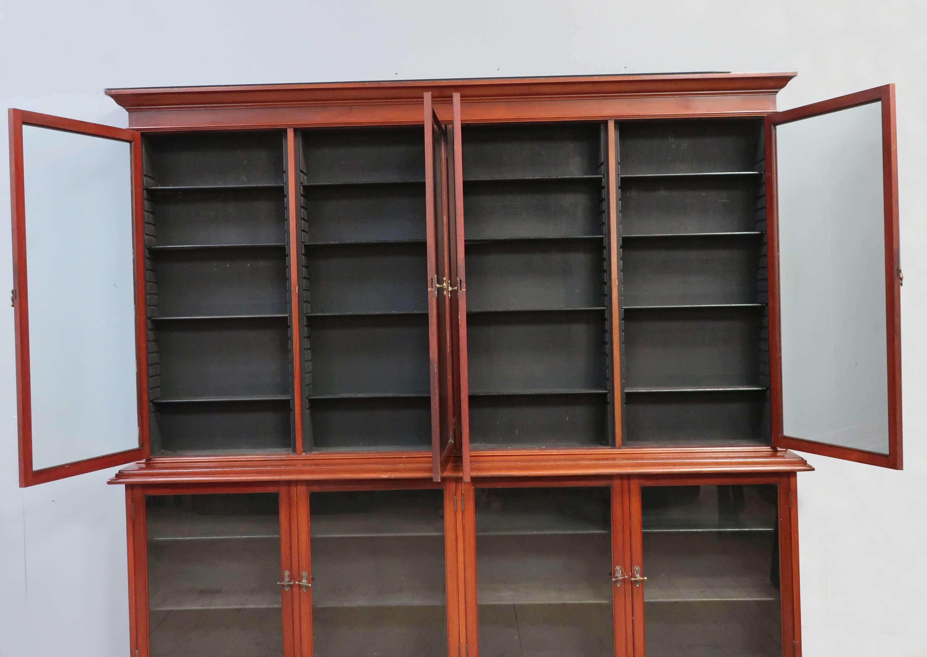 Large Glazed English Pharmacy Cabinet For Sale 3