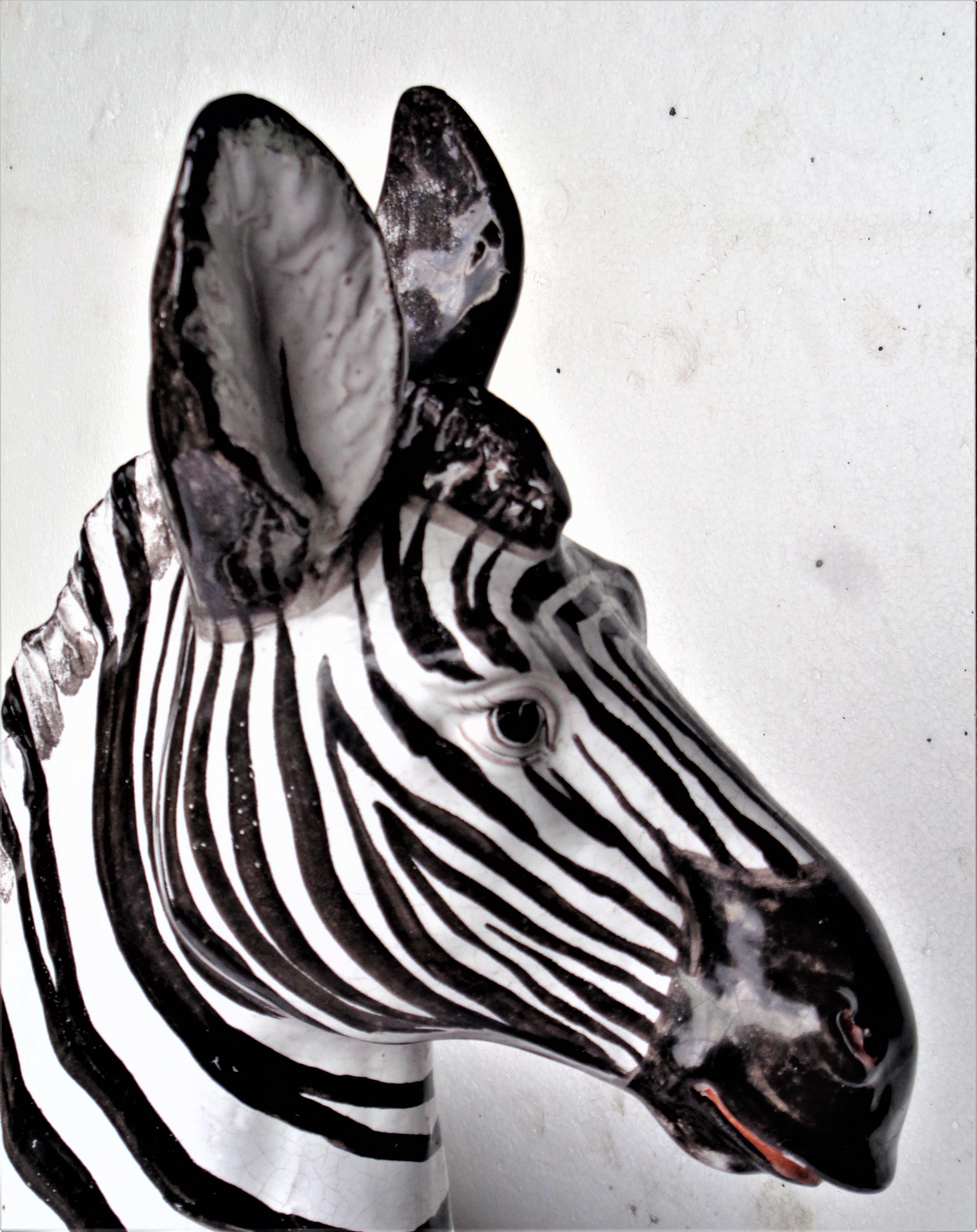 Large Glazed Terracotta Zebra - Italy, Circa 1960 9