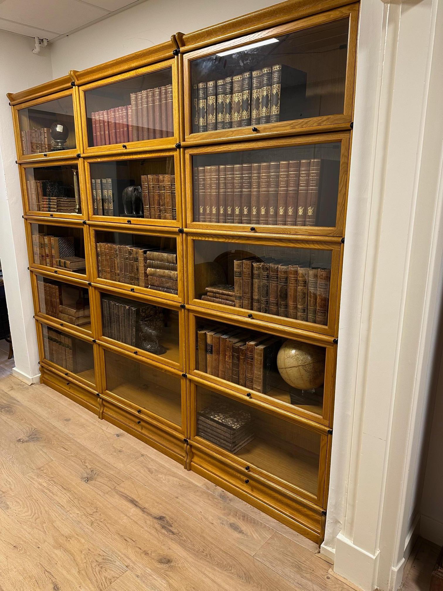 Grande libreria Globe Wernicke in vendita 4