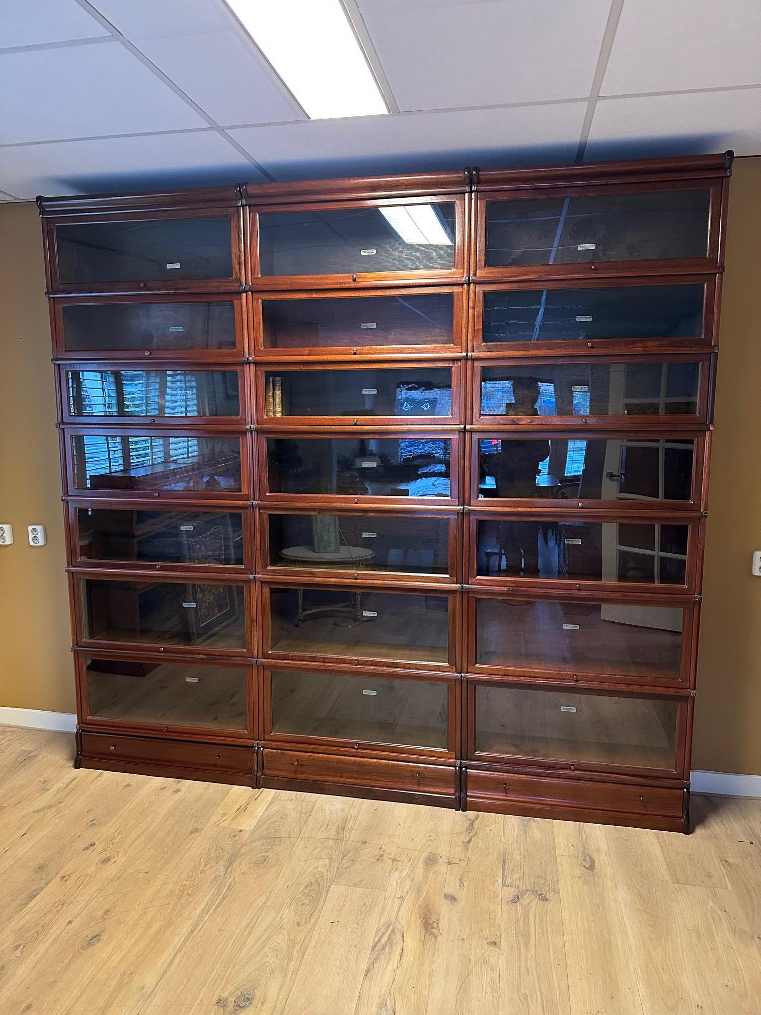 Large Globe Wernicke bookcase In condizioni buone in vendita a BEEKBERGEN, NL