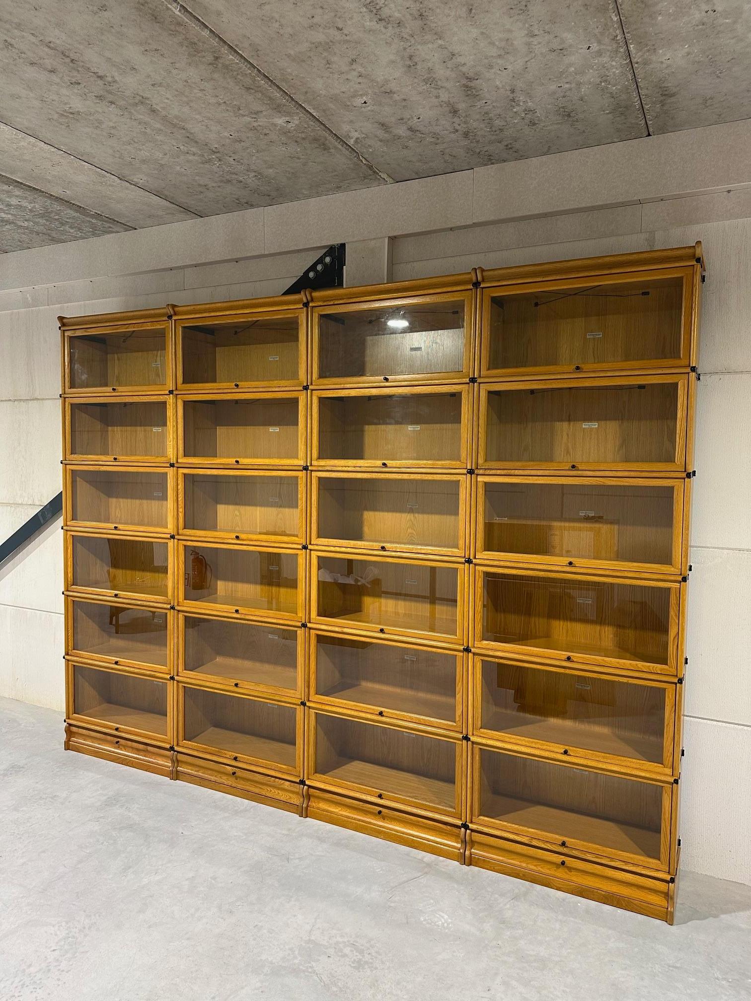 Quercia Large Globe Wernicke Bookcase in vendita