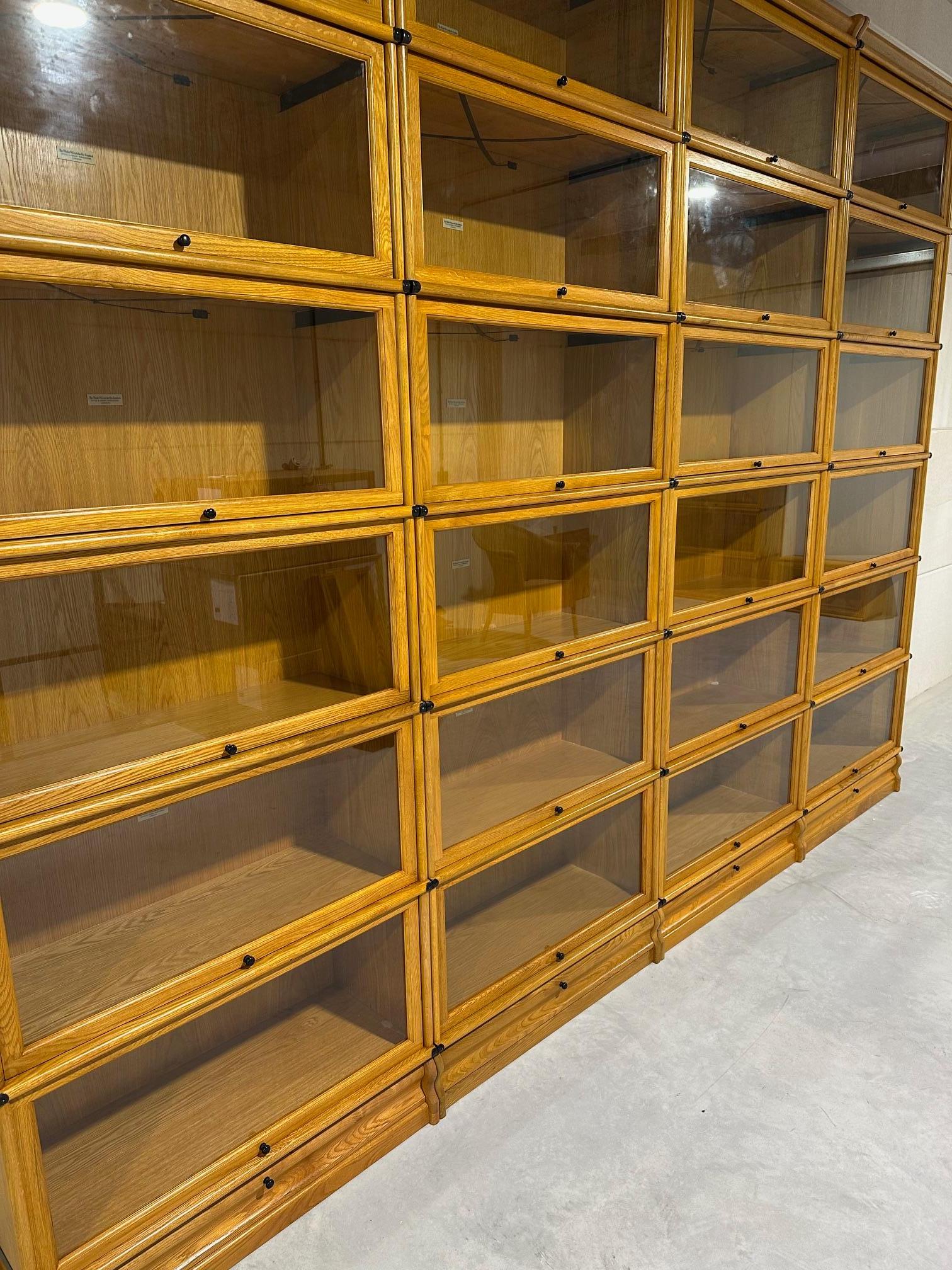 Large Globe Wernicke Bookcase in vendita 1